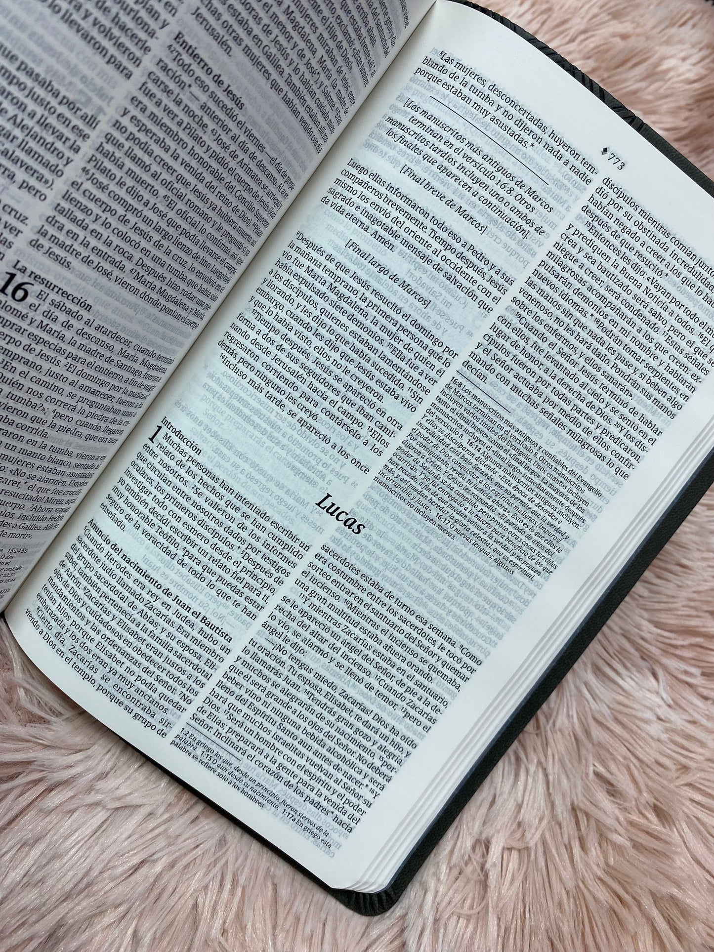 Biblia ultra delgada en símil piel letra mediana versión NTV: nueva traducción viviente