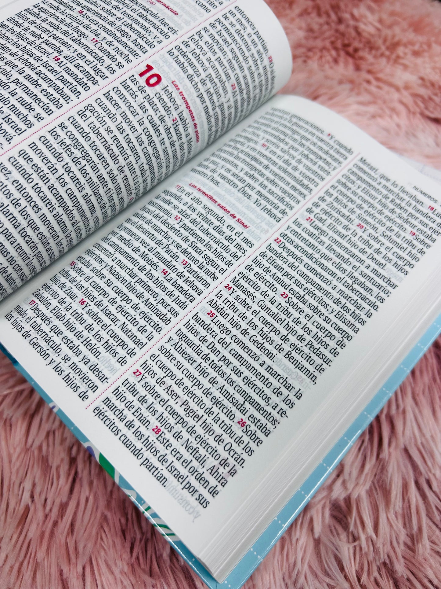Biblia tapa dura en versión RV1960 letra grande palabras de Jesús en rojo tamaño compacto (mediana)