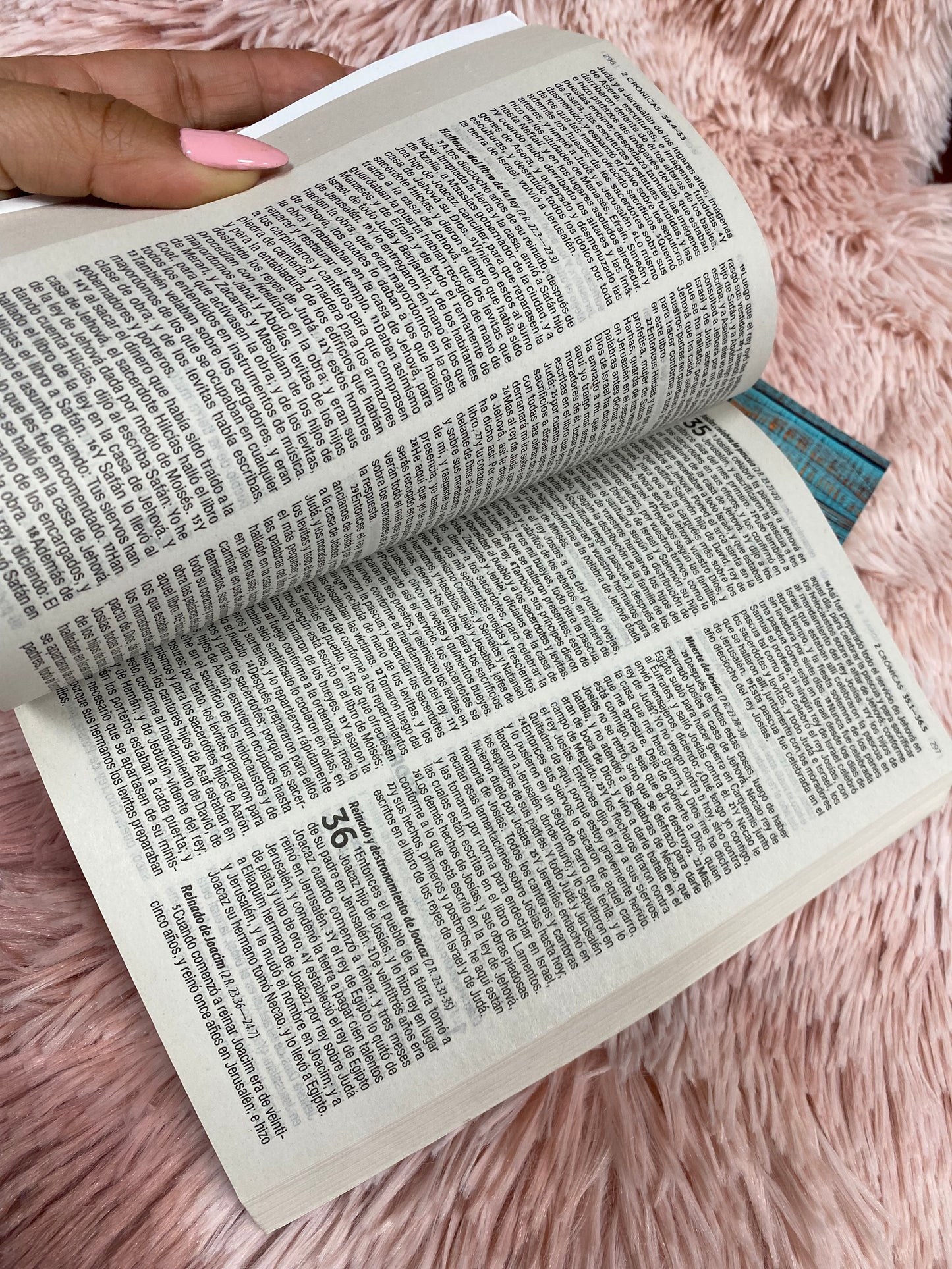 Biblias económicas tapa rústica papel imprenta versión RV1960