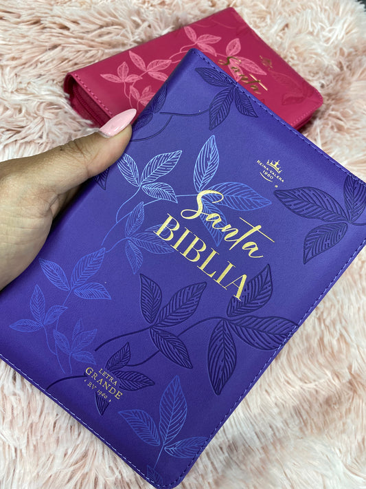 Biblia pequeña letra grande 10 puntos versión RV1960 con cierre canto dorado y concordancia