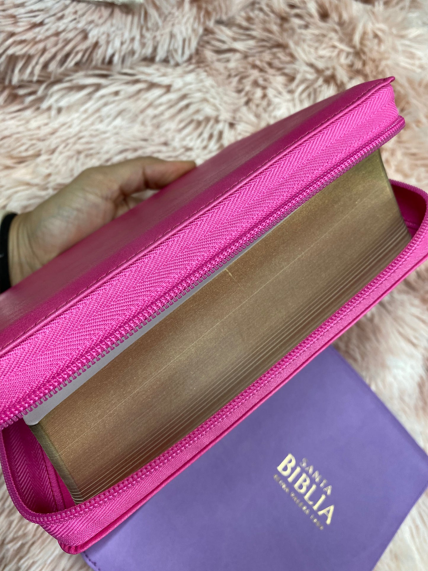 Biblia pequeña letra grande de 11 puntos con cierre y canto dorado versión RV1960 con concordancia