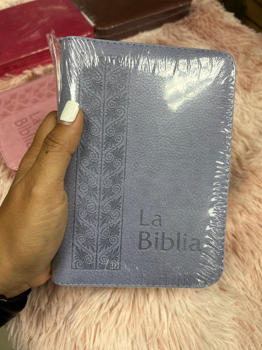 Biblia mediana tamaño compacta con cierre versión TLA letras grandes canto pintado
