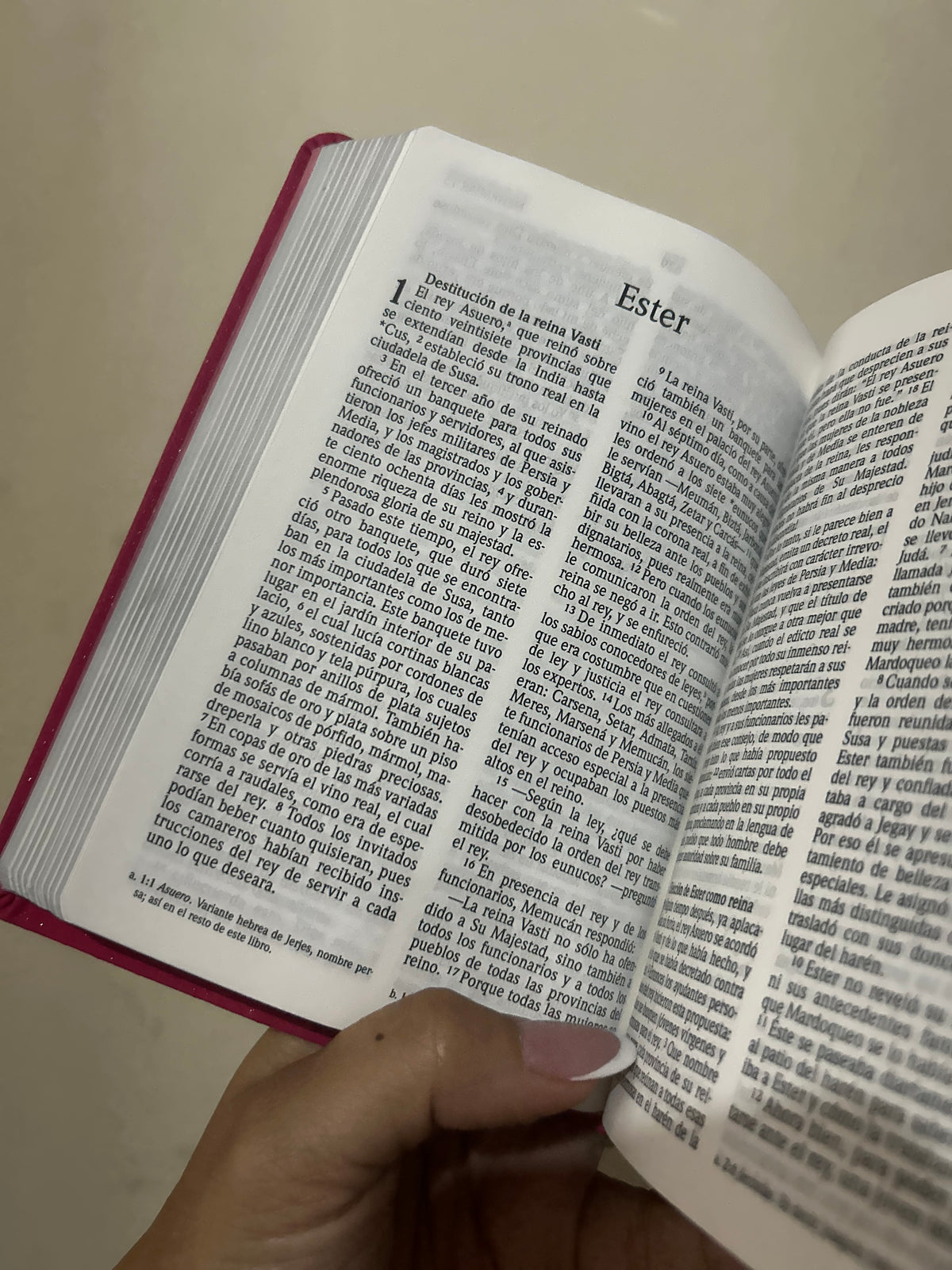 Biblia letra grande tamaño compacto versión NVI canto plateado palabras de Jesús en rojo