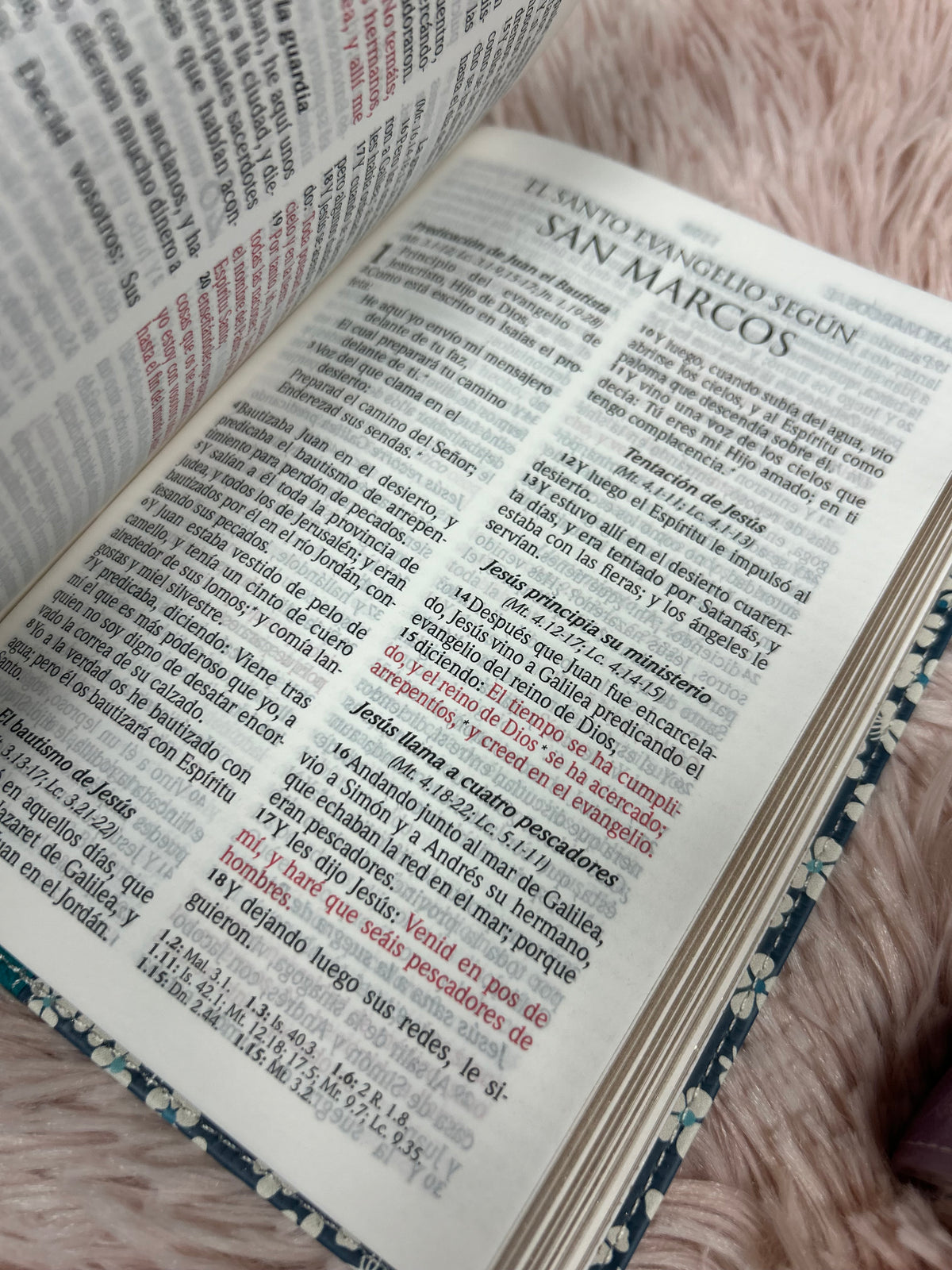 Biblia versión RV1960 letra grande 10 puntos tamaño compacta palabras de Jesús en rojo canto plateado y concordancia floreado morado