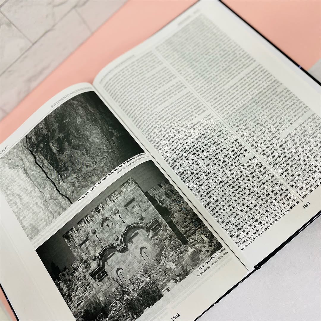 Biblia de estudio Thompson milenio de referencias versión RV1960 en tapa dura