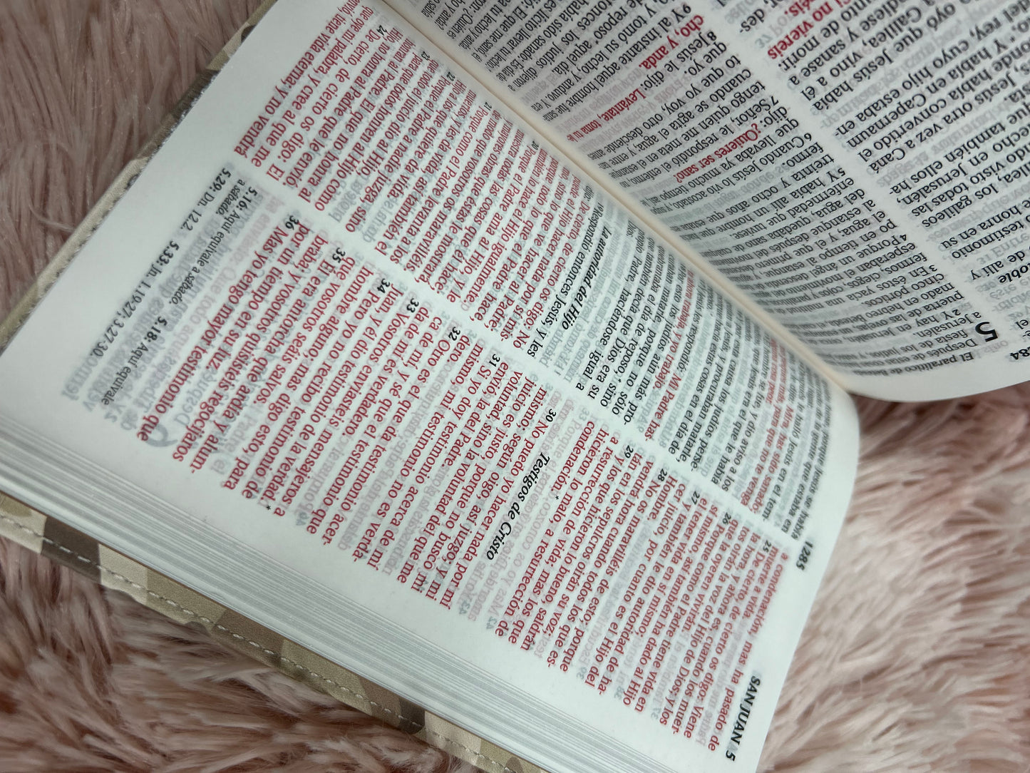 Biblia letra grande 10 puntos versión RV1960 tamaño compacta camuflada beige palabras de Jesús en rojo