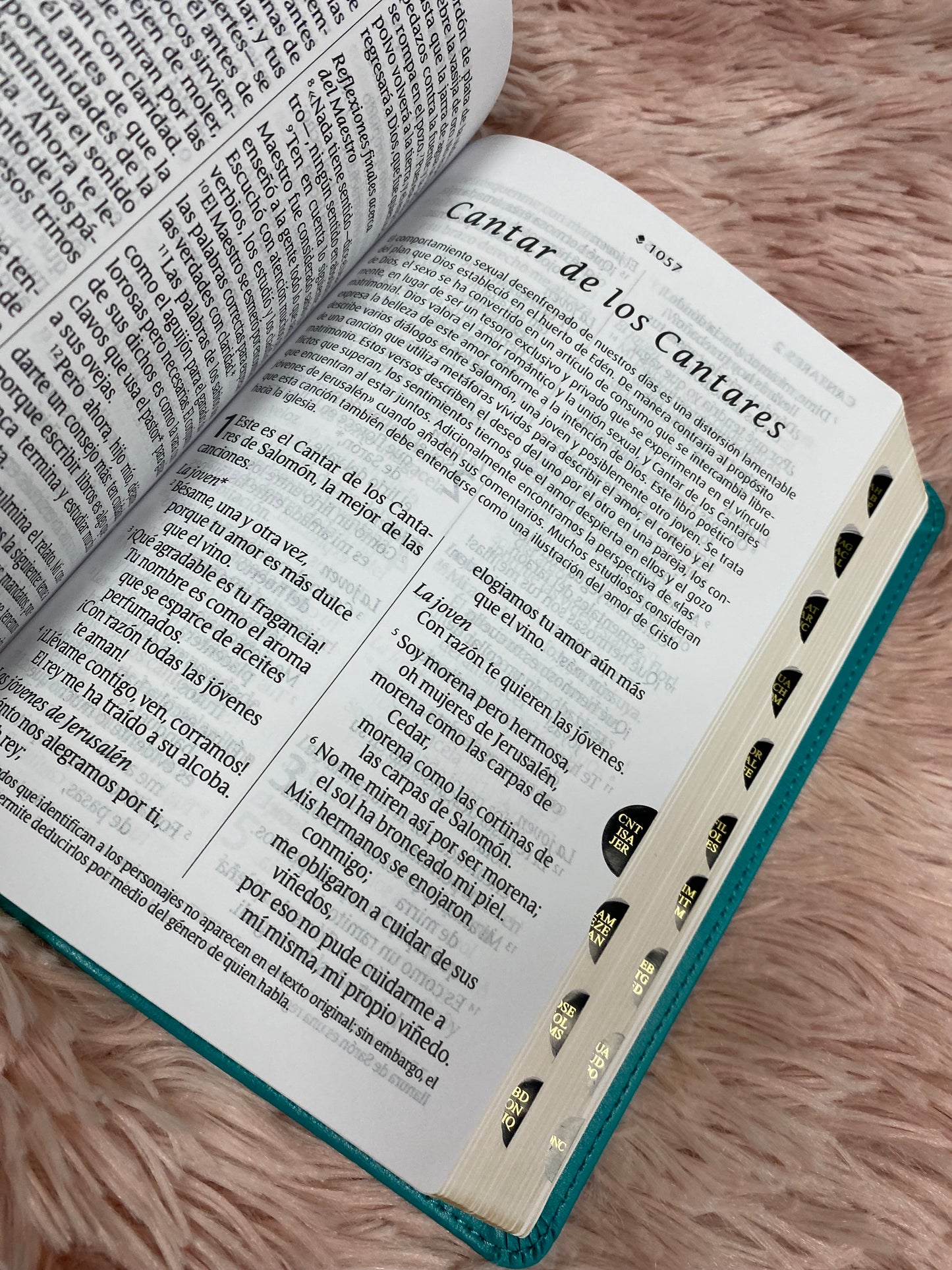 Biblia compacta mediana letra gigante versión NTV con canto dorado e índice en símil piel