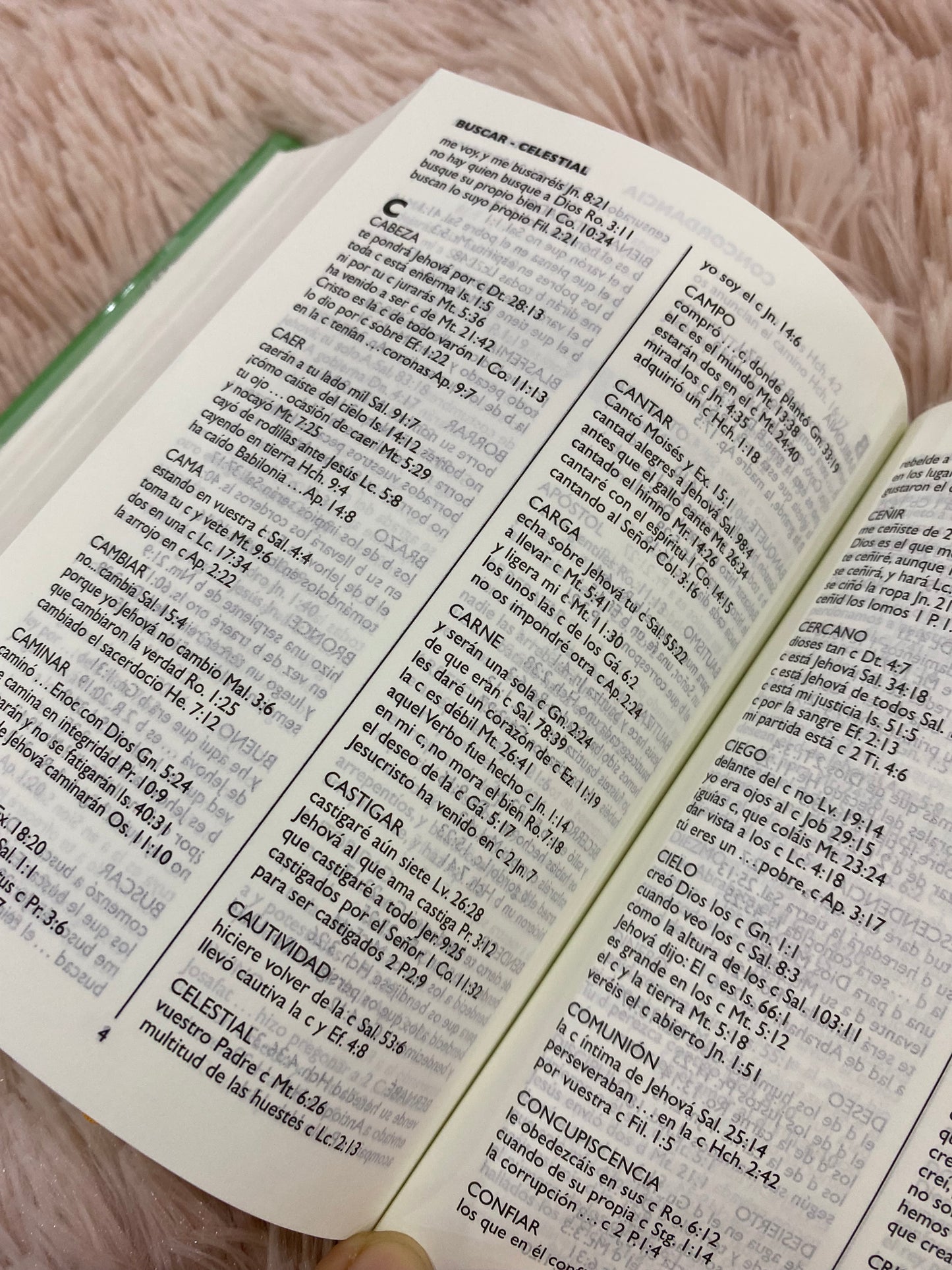 Biblia de la amistad algodoncitas versión RV1960 para niños