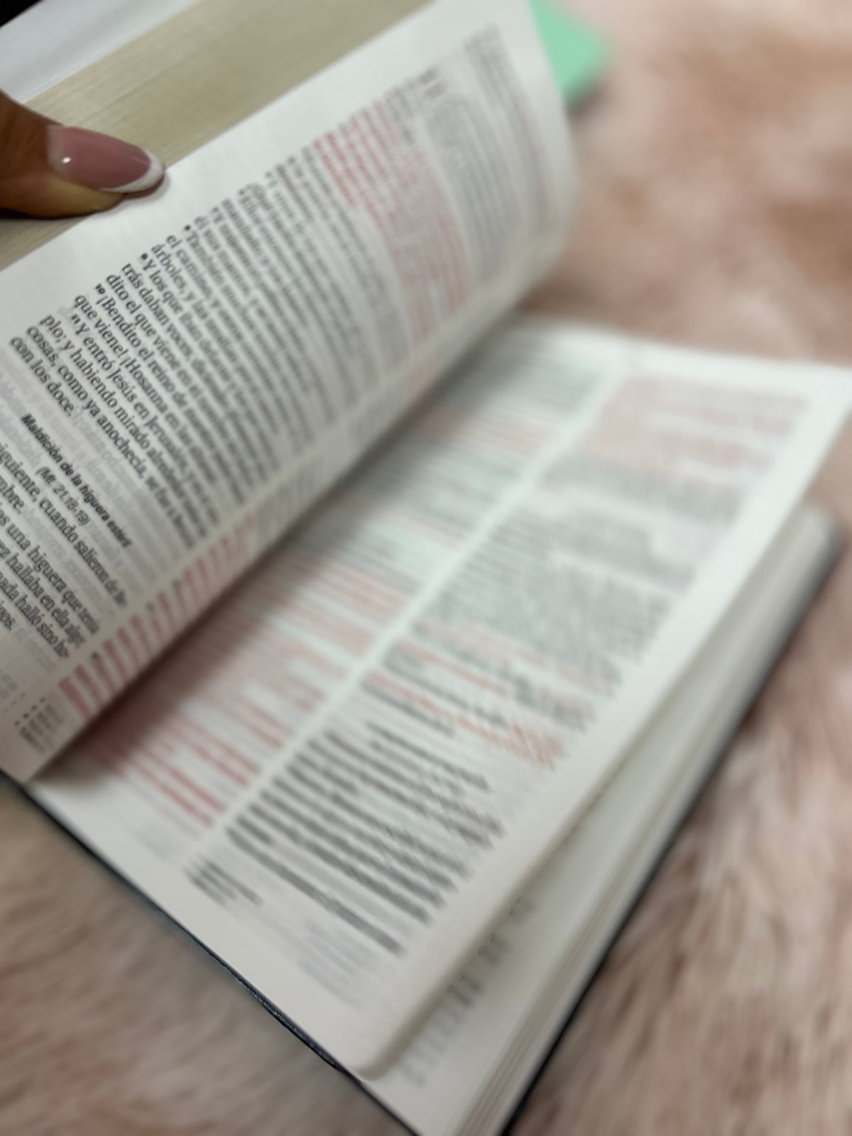 Biblia de letra grande 11,5 puntos en símil piel canto pintado palabras de Jesús en rojo y concordancia