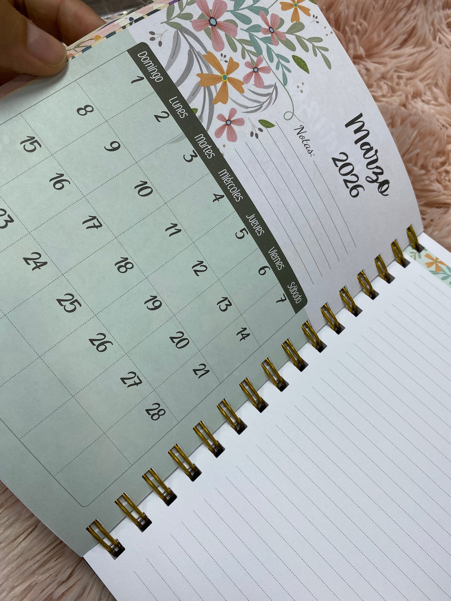 Agendas 2026 - Esforzada y valiente con espirales