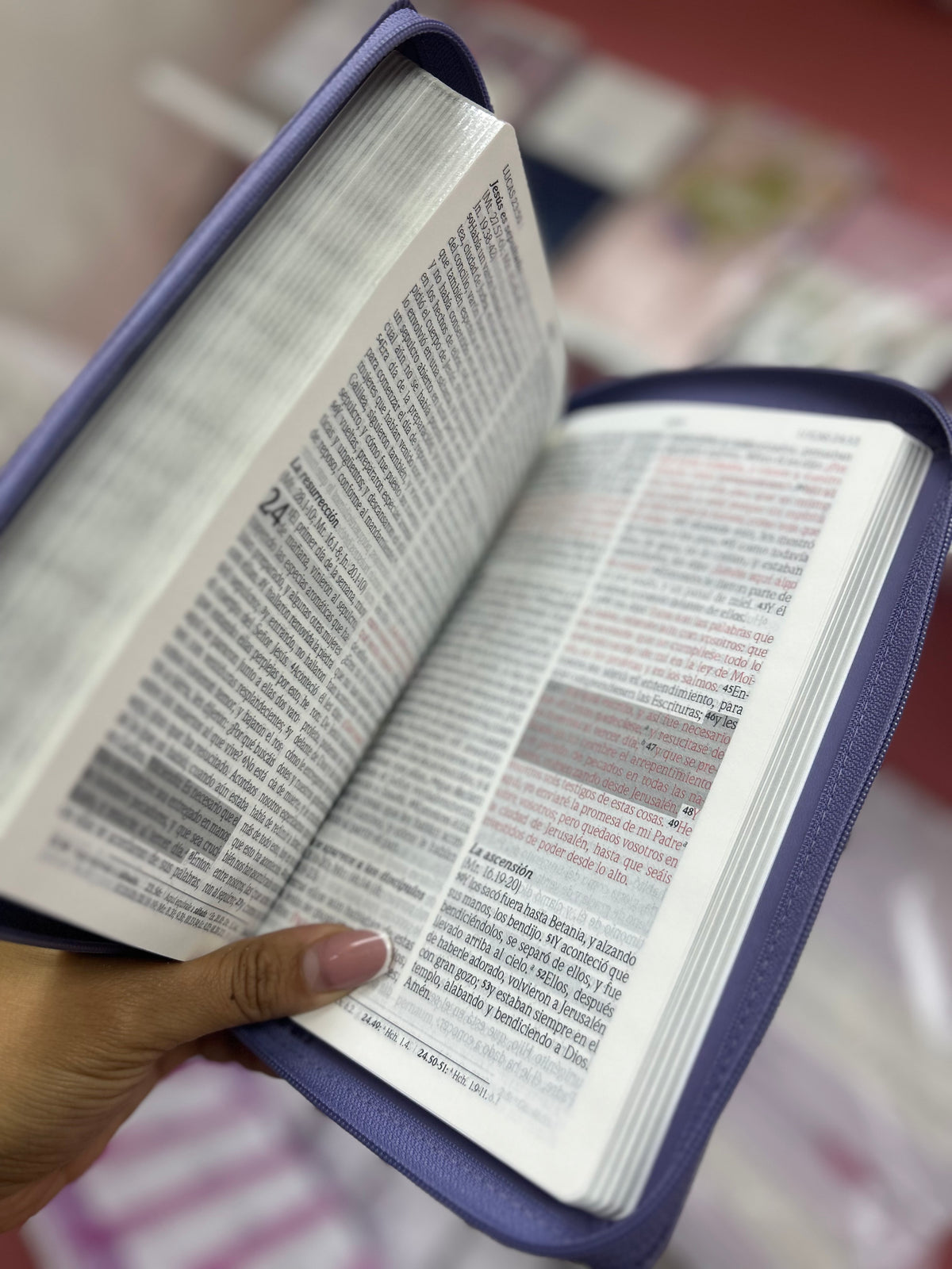 Biblia de promesas símil piel con cierre y canto plateado versión RV1960 letra grande 12 puntos color lavanda