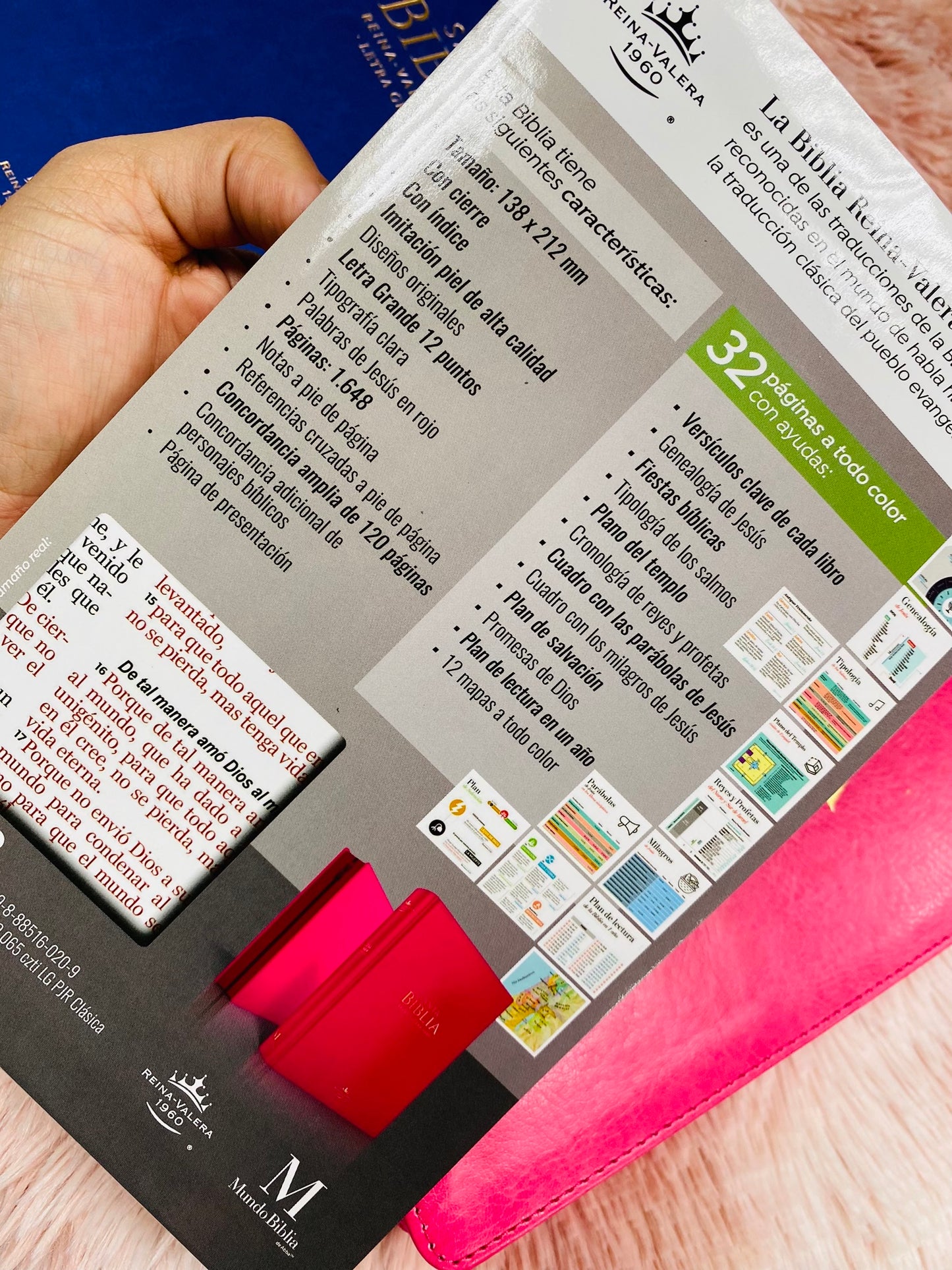Biblia letra grande 12 puntos con índice cierre y canto dorado versión RV1960