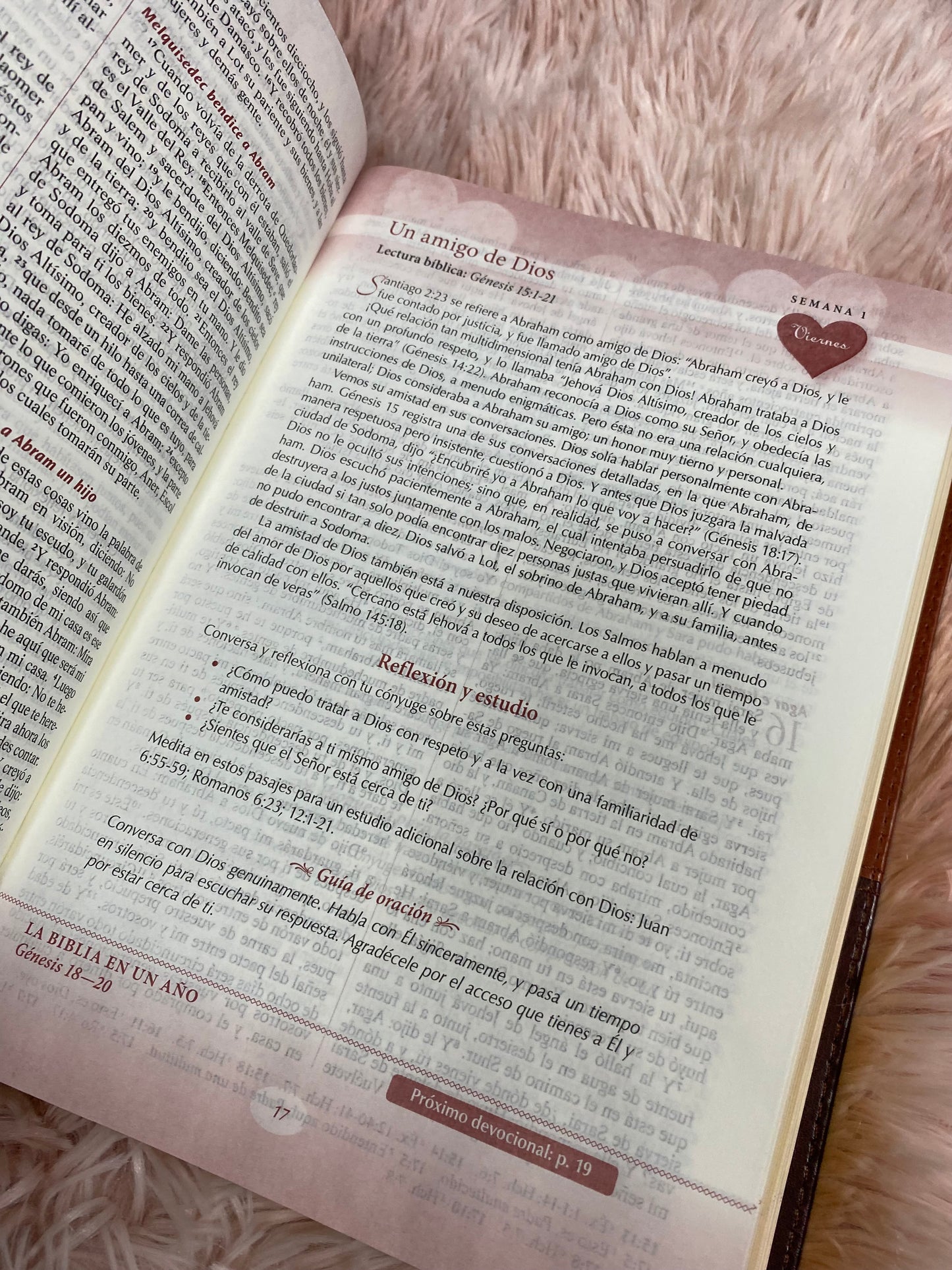 Biblia devocional los lenguajes del amor de Gary Chapman versión RV1960