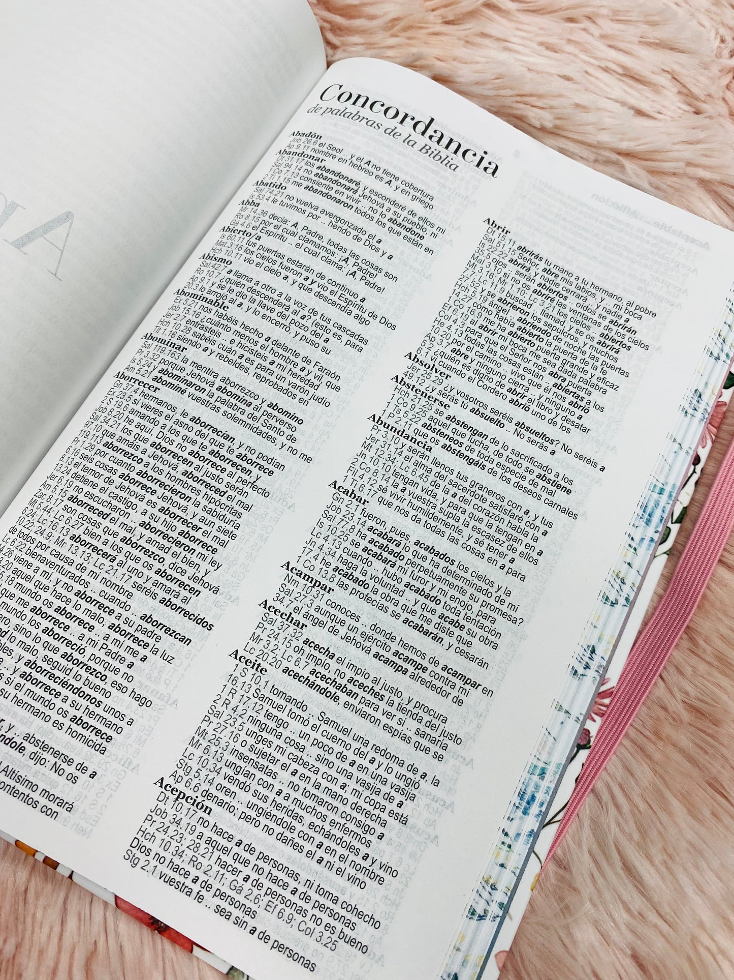 Biblia versión RV1960 de tapa dura diseño en relieve de letra grande 12 puntos con canto pintado, liga, palabras de Jesús en rojo con concordancia