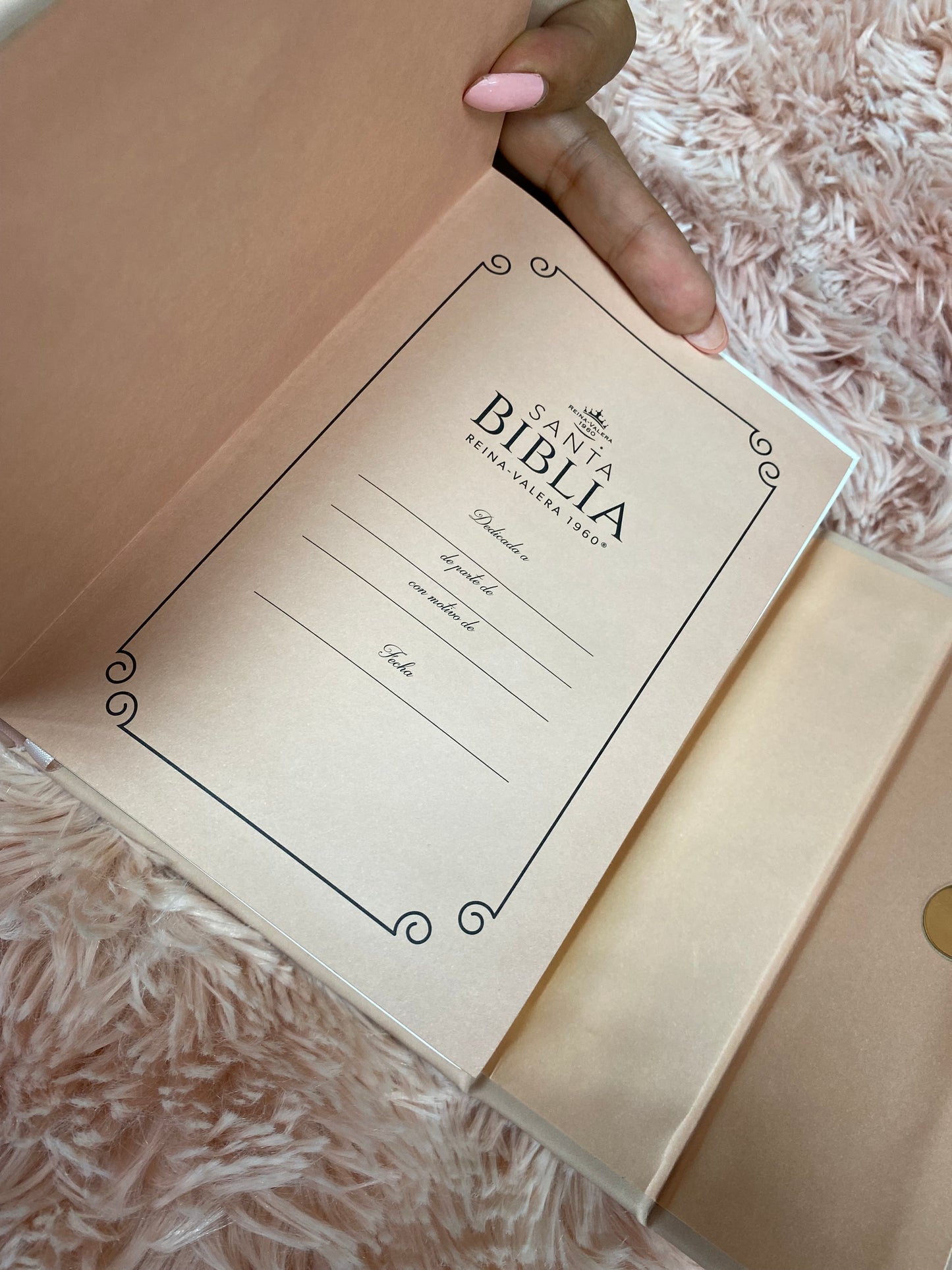 Biblia tipo cartera de canto dorado mediana de letras grandes 10 puntos versión RV1960 en imitación piel