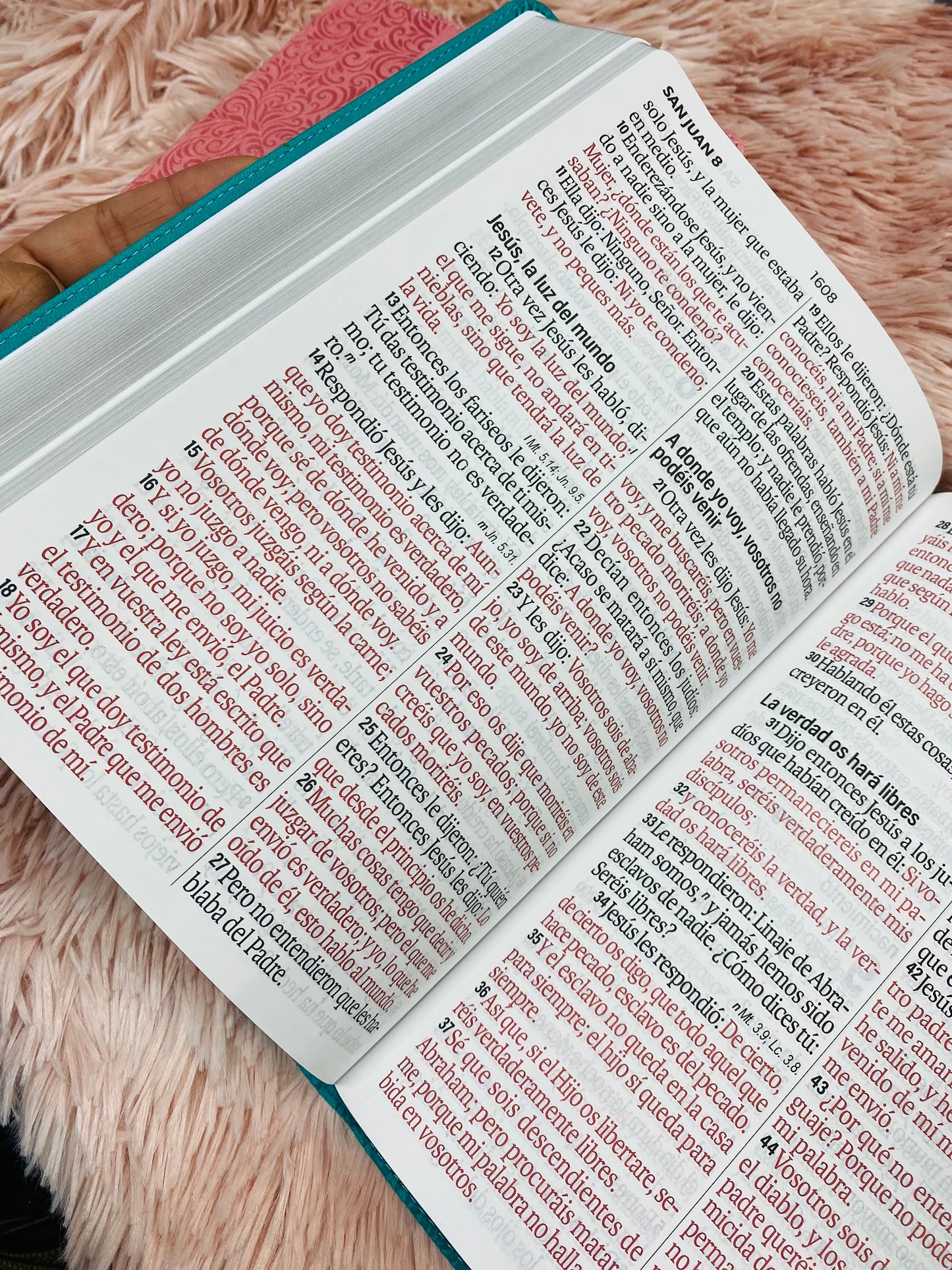 Biblia letra extra gigante 19 puntos con canto plateado símil piel y concordancia