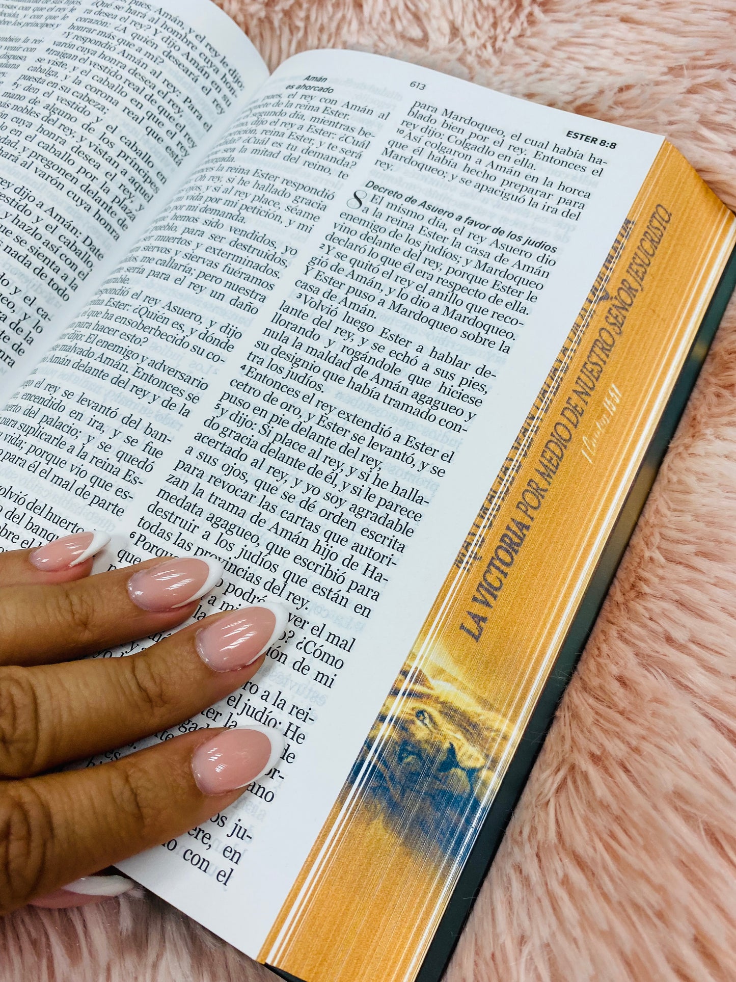 Biblia versión RV1960 de tapa dura diseño en relieve de letra grande 12 puntos con canto pintado, liga, palabras de Jesús en rojo con concordancia