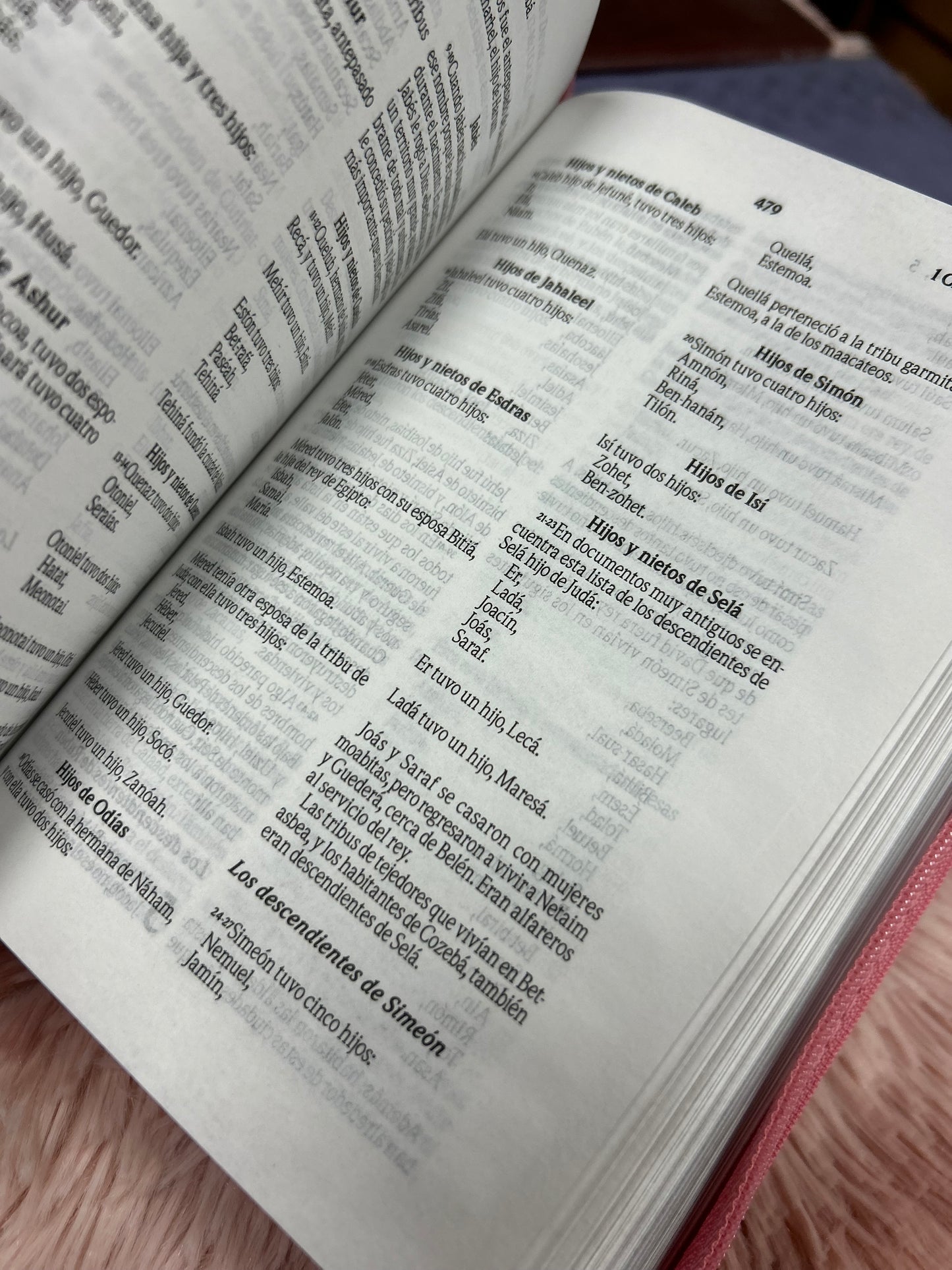 Biblia mediana tamaño compacta con cierre versión TLA letras grandes canto pintado