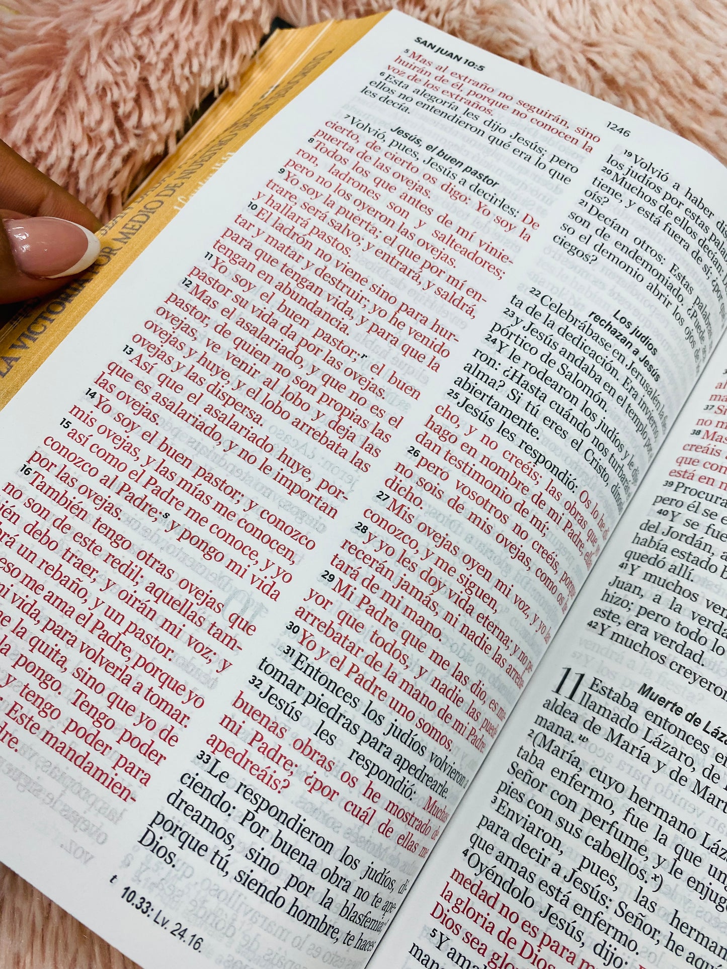 Biblia versión RV1960 de tapa dura diseño en relieve de letra grande 12 puntos con canto pintado, liga, palabras de Jesús en rojo con concordancia