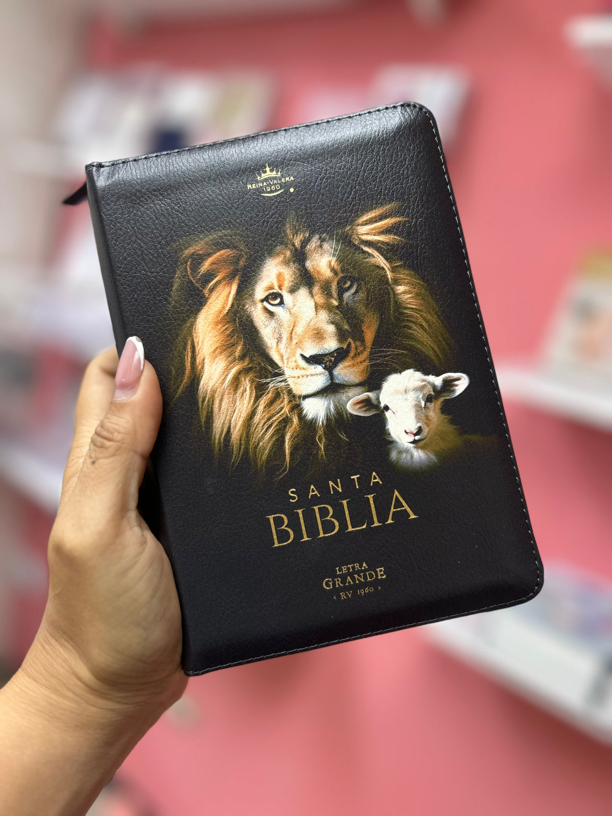 Biblia letra grande 10 puntos con cierre e índice canto pintado palabras de Jesús y concordancia en rojo versión RV1960 león de Juda