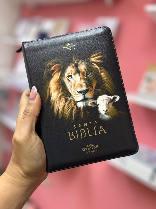 Biblia letra grande 10 puntos con cierre e índice canto pintado palabras de Jesús y concordancia en rojo versión RV1960 león de Juda