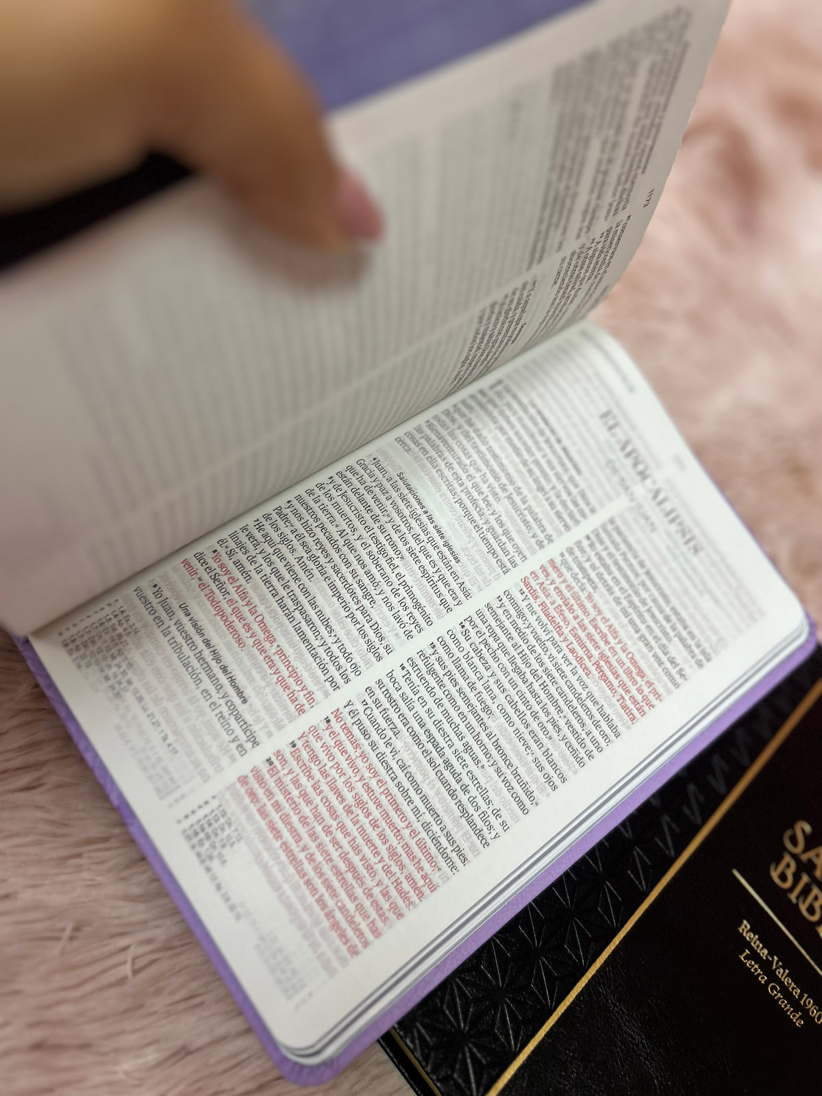 Biblia de letra grande 11,5 puntos en símil piel canto pintado palabras de Jesús en rojo y concordancia