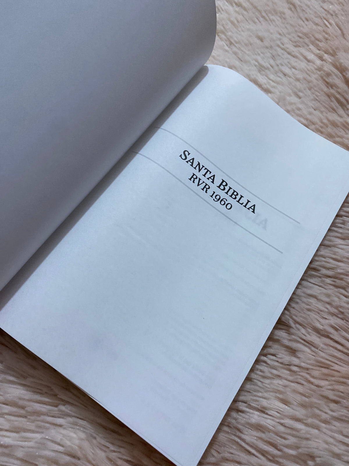Biblia tapa dura letra grande versión RV1960 con concordancia papel blanco