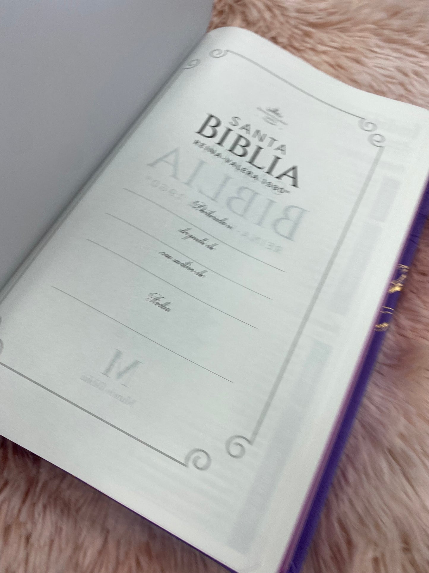 Biblia versión RV1960 en imitación piel de alta calidad letra grande 11,5 puntos y cierre canto pintado con concordancia y palabras de Jesús en rojo