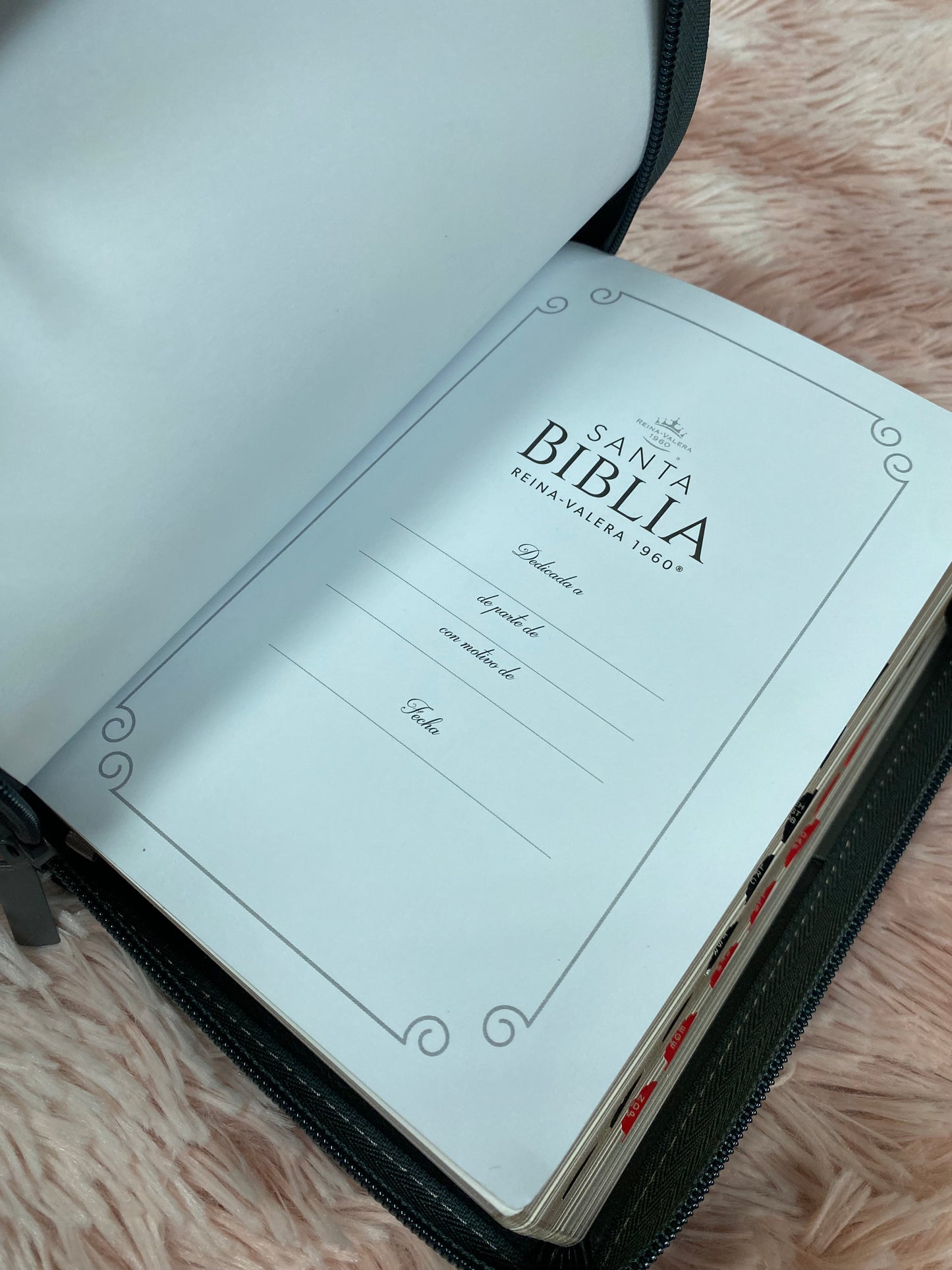 Biblia mediana de letra grande 11 puntos con cierre e índice versión RV1960 canto dorado palabras de Jesús en rojo y concordancia