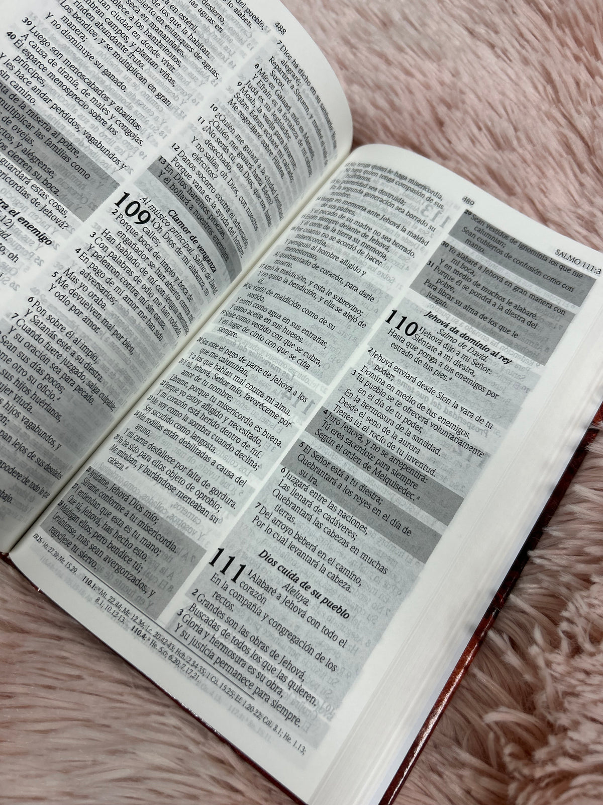 Biblia de promesas para jóvenes en tapa dura versión RV1960