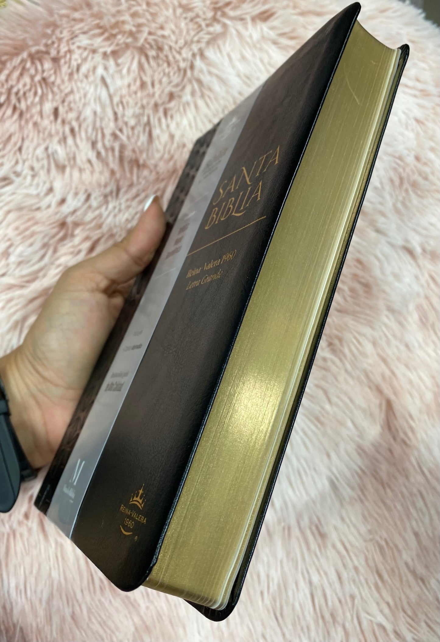 Biblia versión RV1960 en imitación piel de alta calidad letra grande 11,5 puntos canto pintado con concordancia y palabras de Jesús en rojo