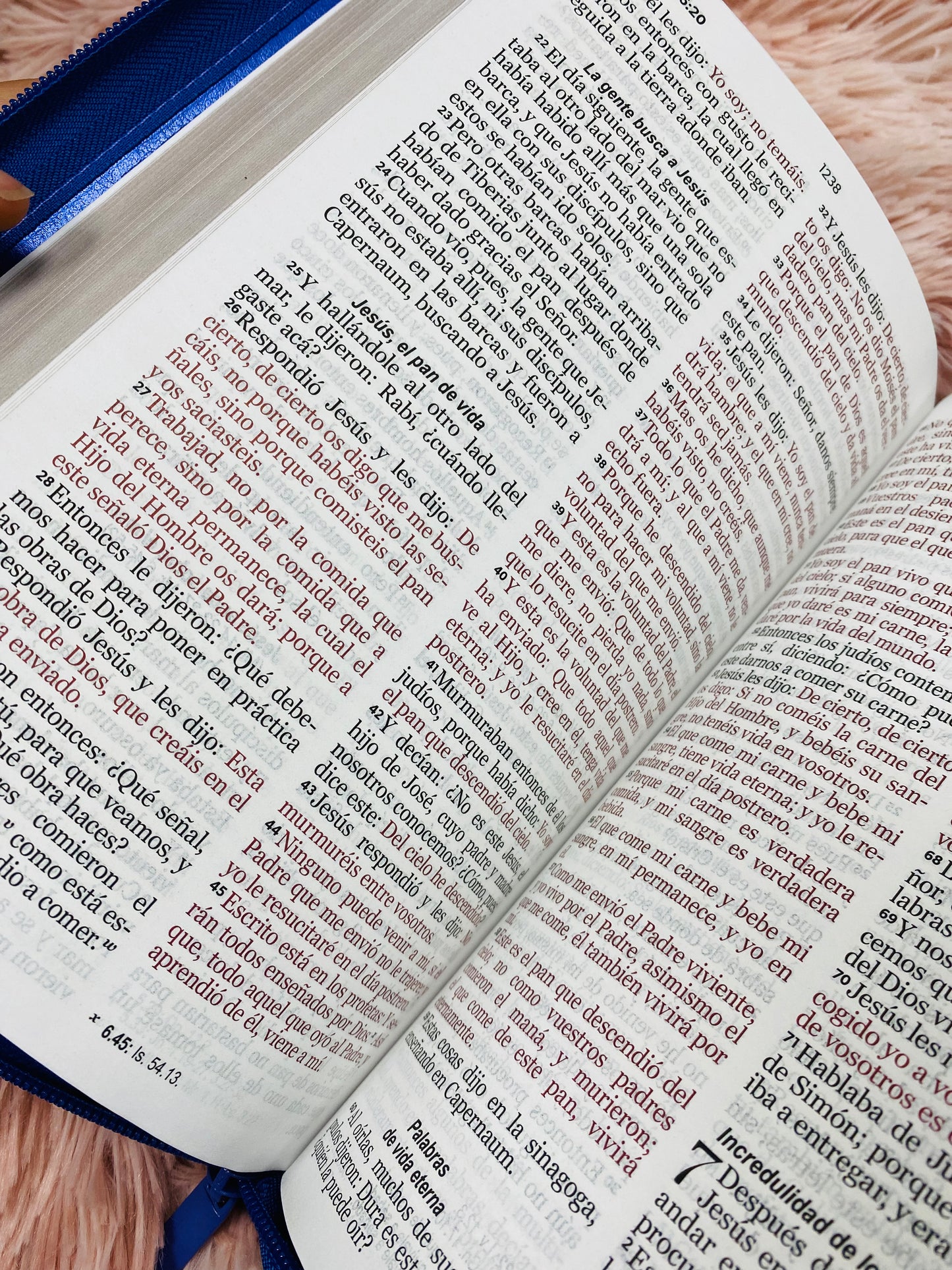 Biblia letra grande 12 puntos con cierre y canto dorado versión RV1960