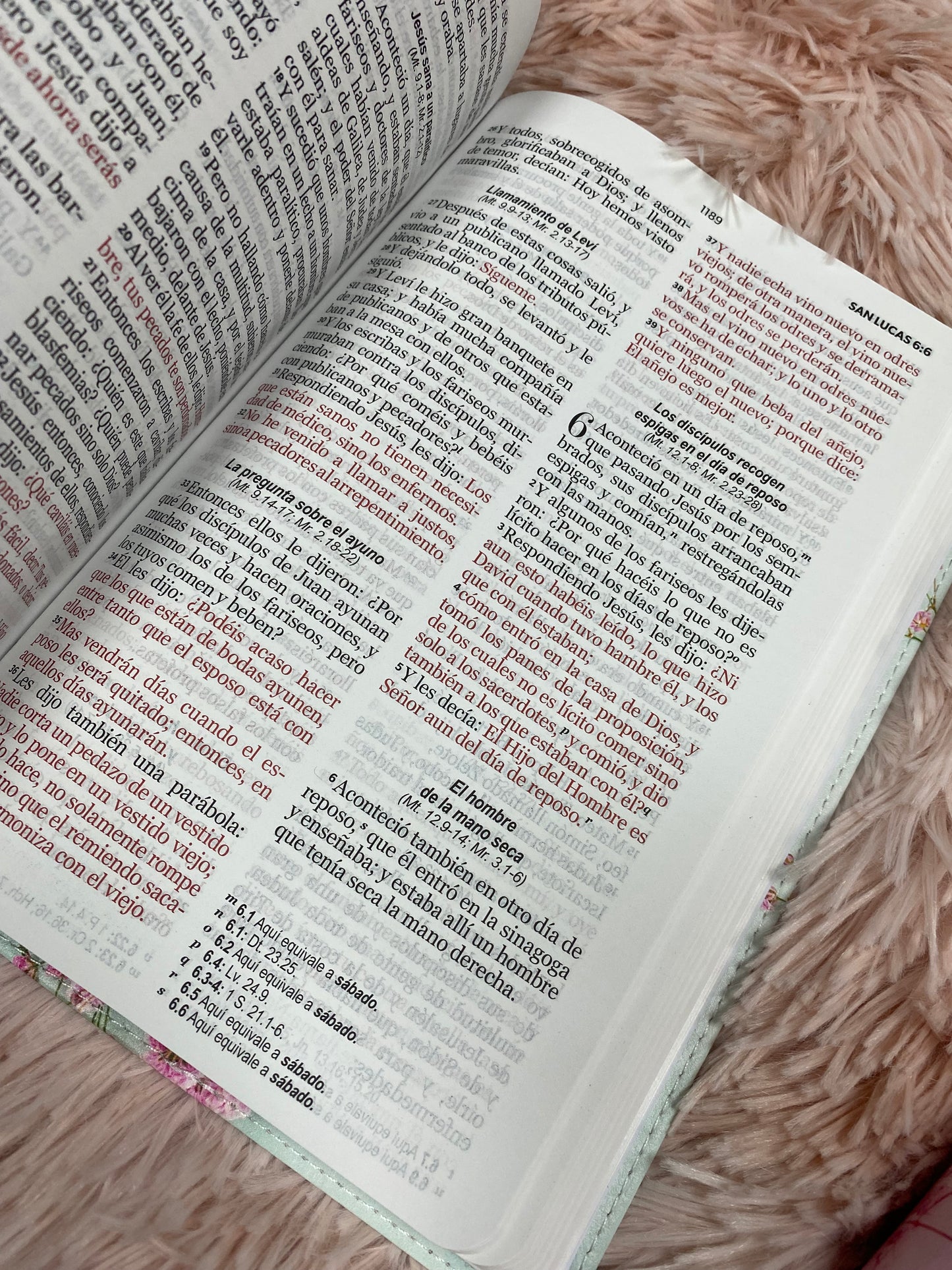 Biblia símil piel tapa flexible letra grande 12 puntos versión RV1960 letras de Jesús en rojo y concordancia