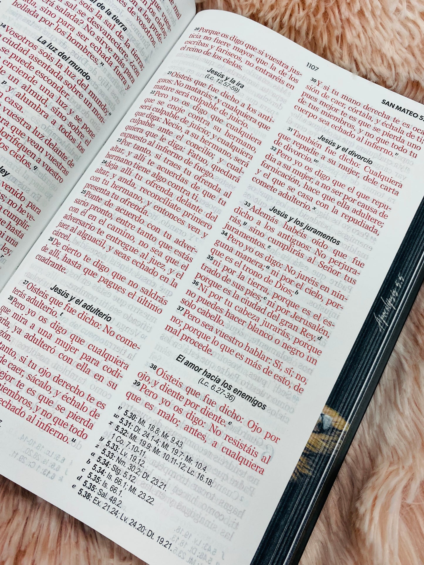 Biblia versión RV1960 de tapa dura diseño en relieve de letra grande 12 puntos con canto pintado, liga, palabras de Jesús en rojo con concordancia