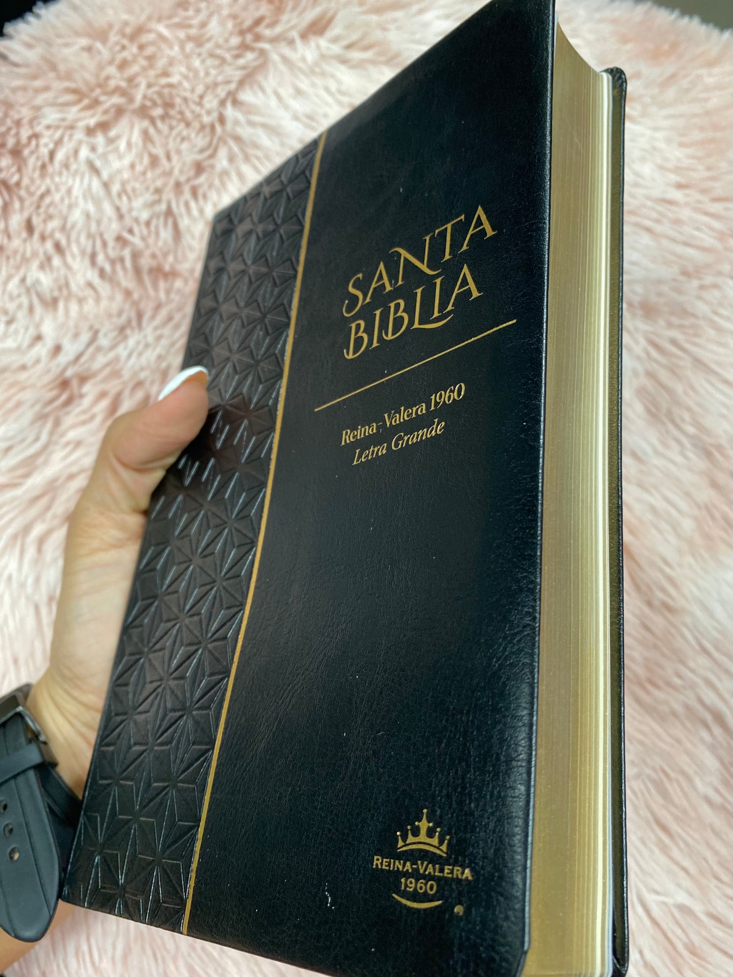 Biblia versión RV1960 en imitación piel de alta calidad letra grande 11,5 puntos canto pintado con concordancia y palabras de Jesús en rojo