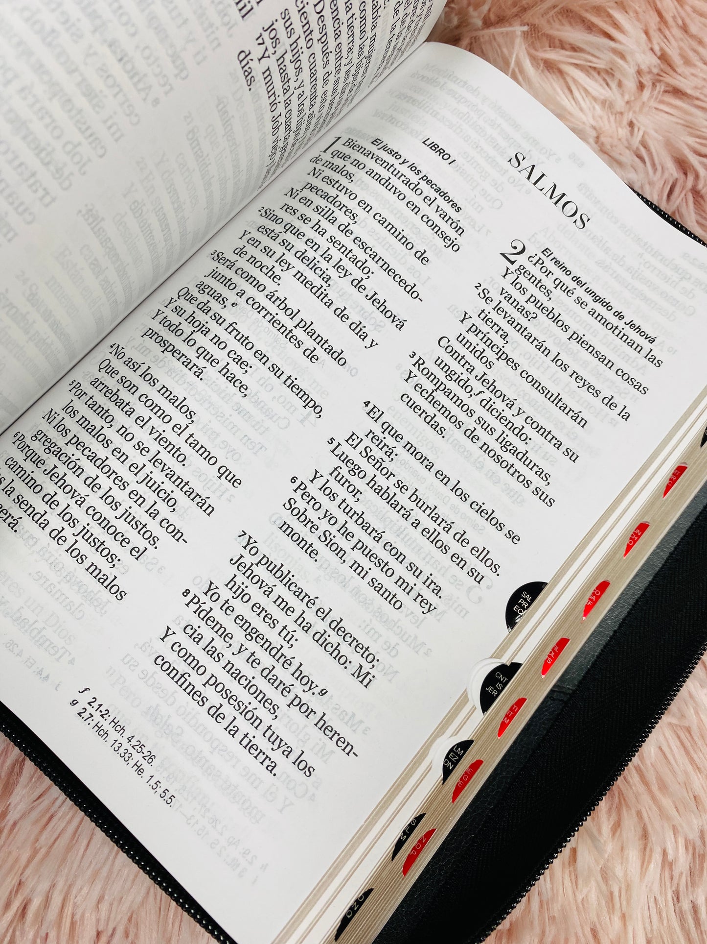 Biblia letra gigante 14 puntos símil piel versión RV1960 con cierre e índice y concordancia