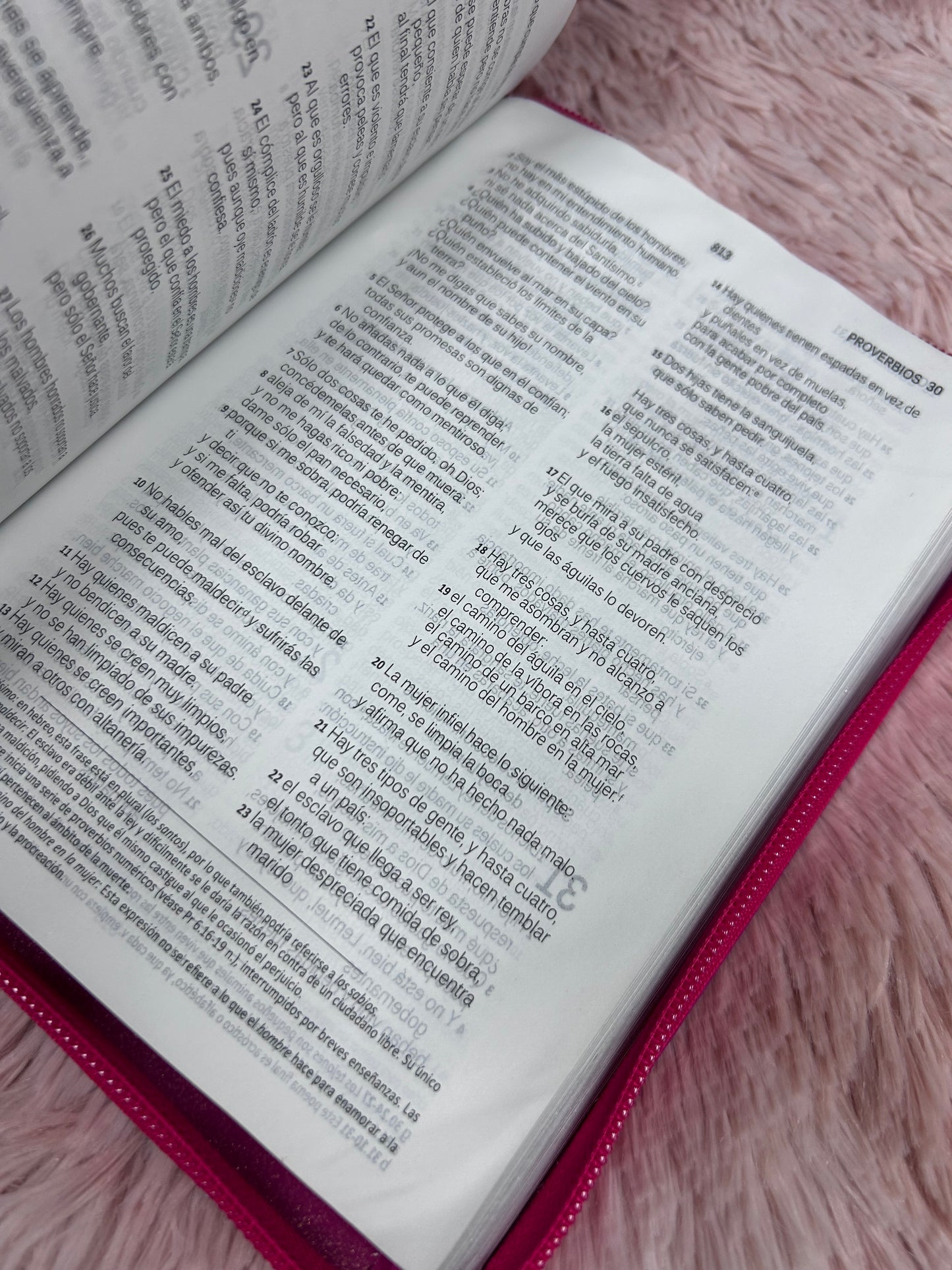 Santa biblia católica versión Dios habla hoy en letra grande con cierre en tamaño manual