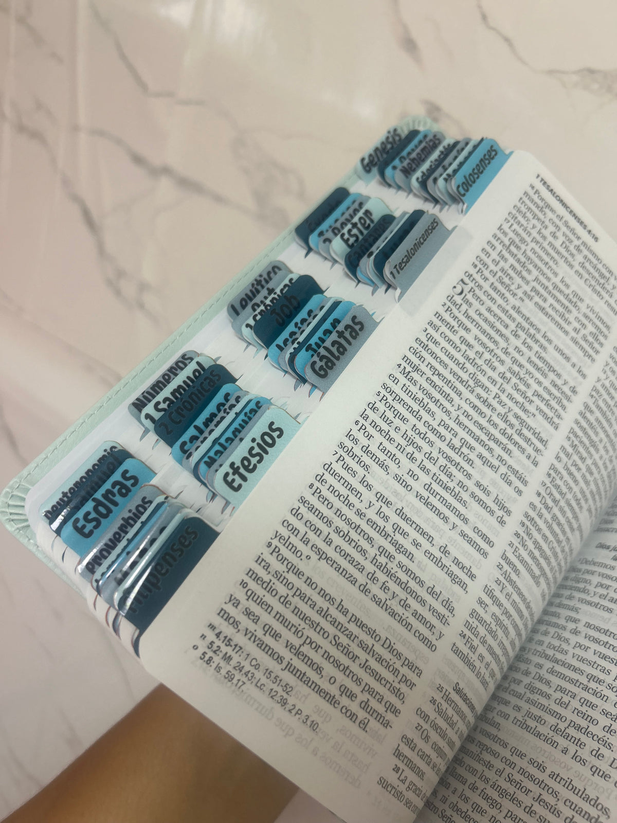 Biblia RV1960 letra grande 12 puntos + personalizado
