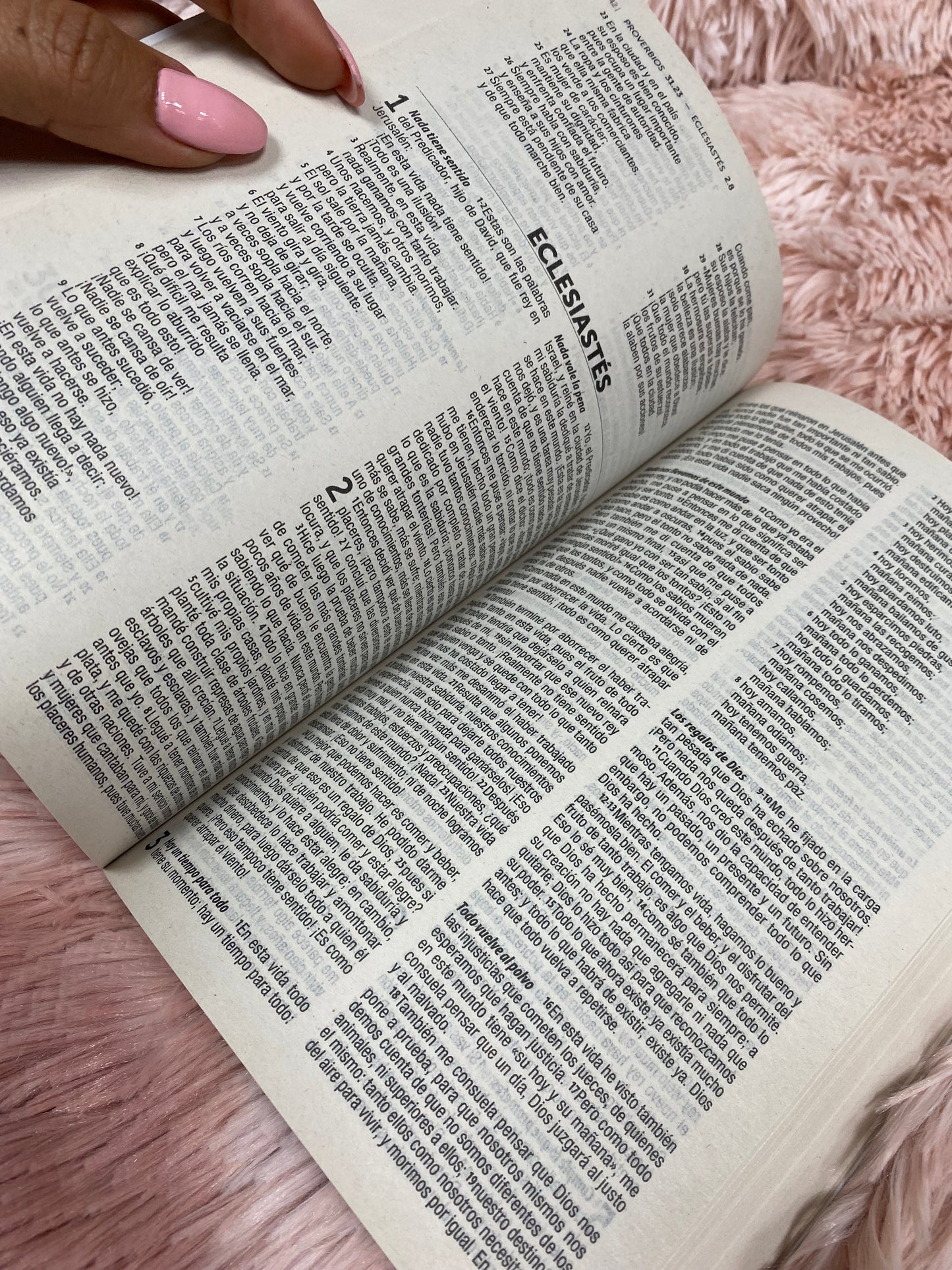 Biblias económicas tapa rústica papel imprenta versión TLA