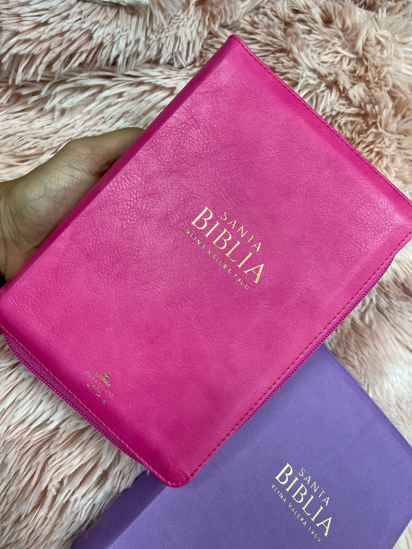 Biblia pequeña letra grande de 11 puntos con cierre y canto dorado versión RV1960 con concordancia