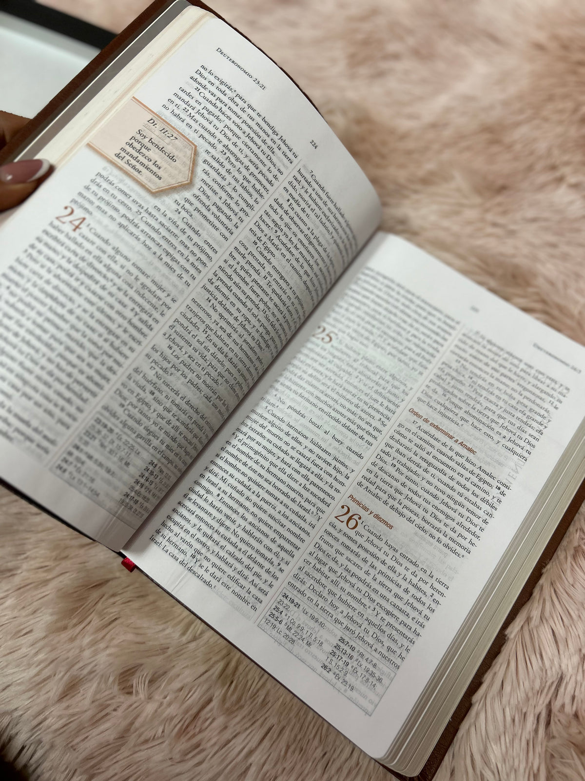 Biblia de estudio para la guerra espiritual en imitación piel de lujo canto dorado versión RV1960