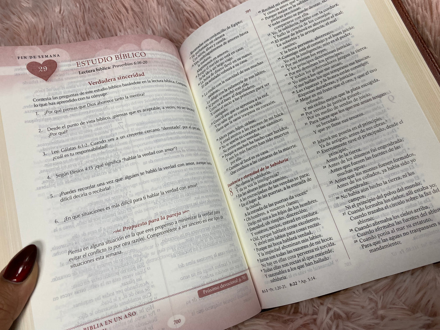 Biblia devocional los lenguajes del amor de Gary Chapman versión RV1960