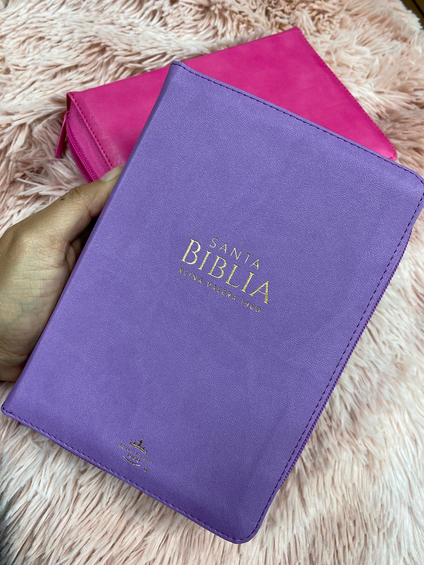 Biblia pequeña de letra grande 11 puntos con canto dorado y cierre versión RV60 con concordancia