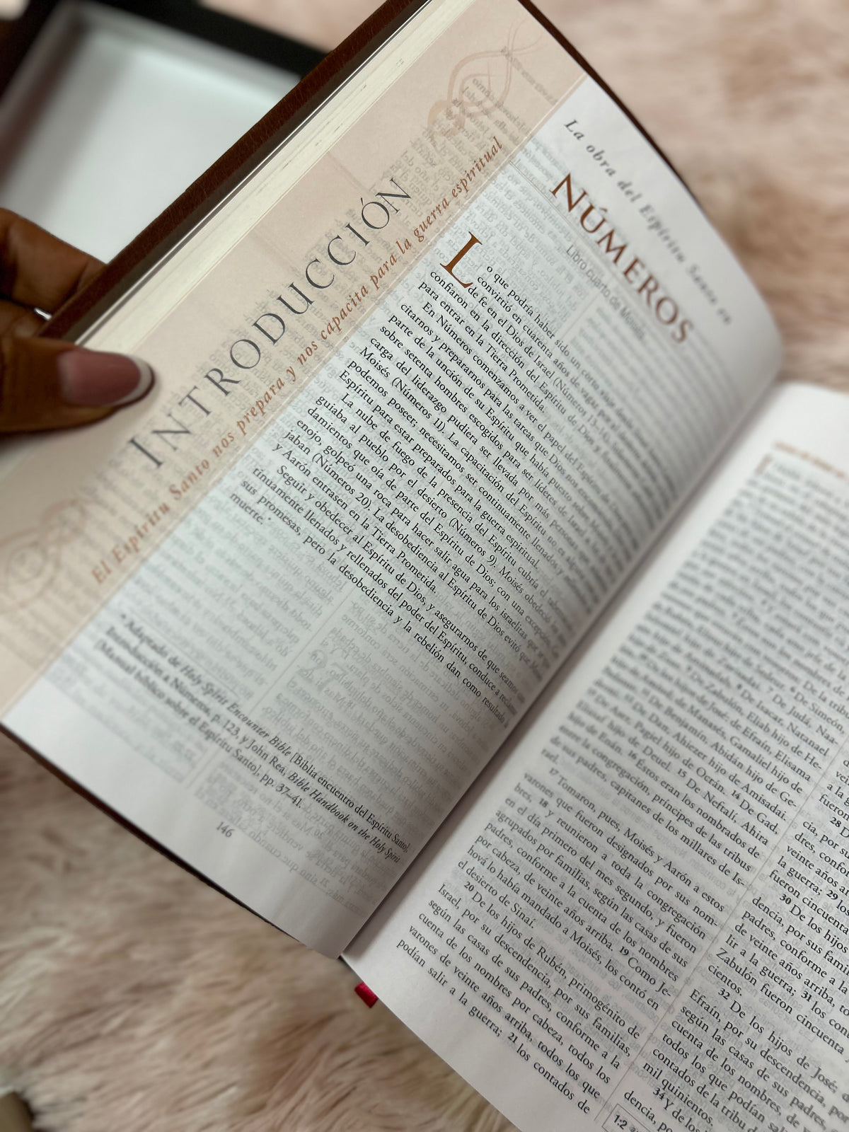 Biblia de estudio para la guerra espiritual en imitación piel de lujo canto dorado versión RV1960
