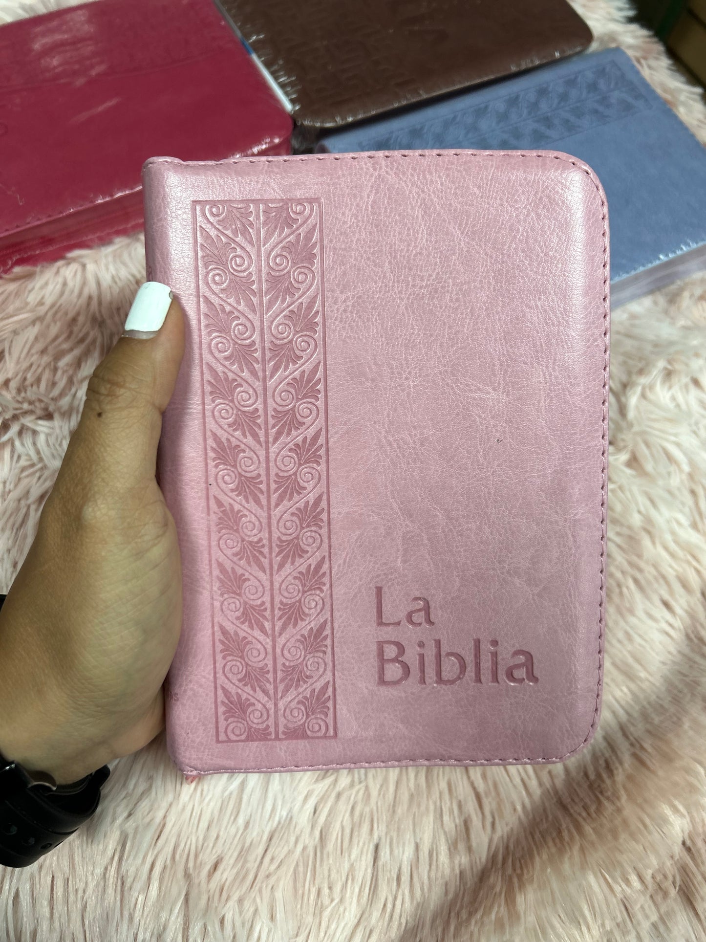 Biblia mediana tamaño compacta con cierre versión TLA letras grandes canto pintado