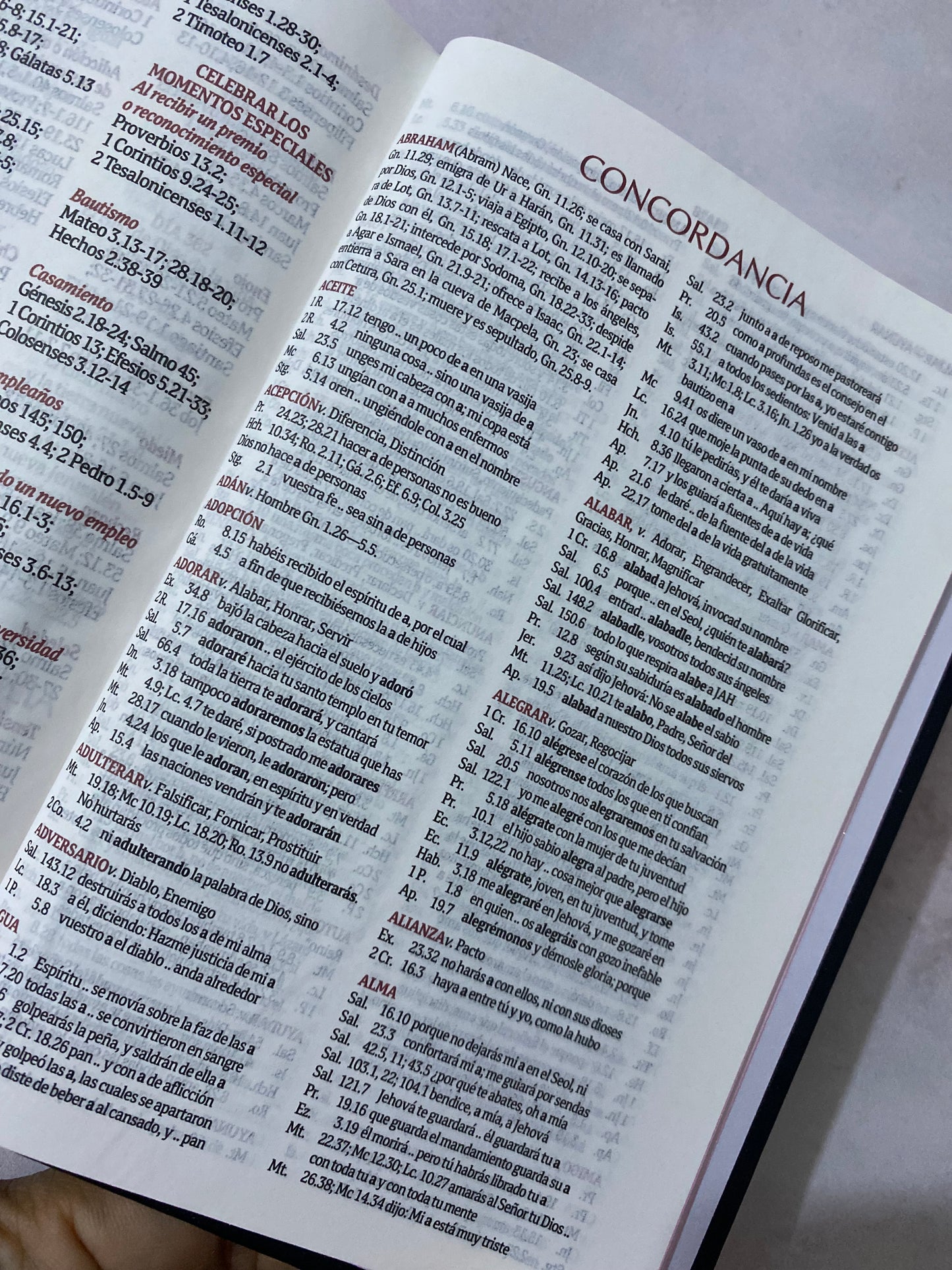 Biblia de promesas tapa dura versión RV1960 letra 8 puntos con concordancia y referencias