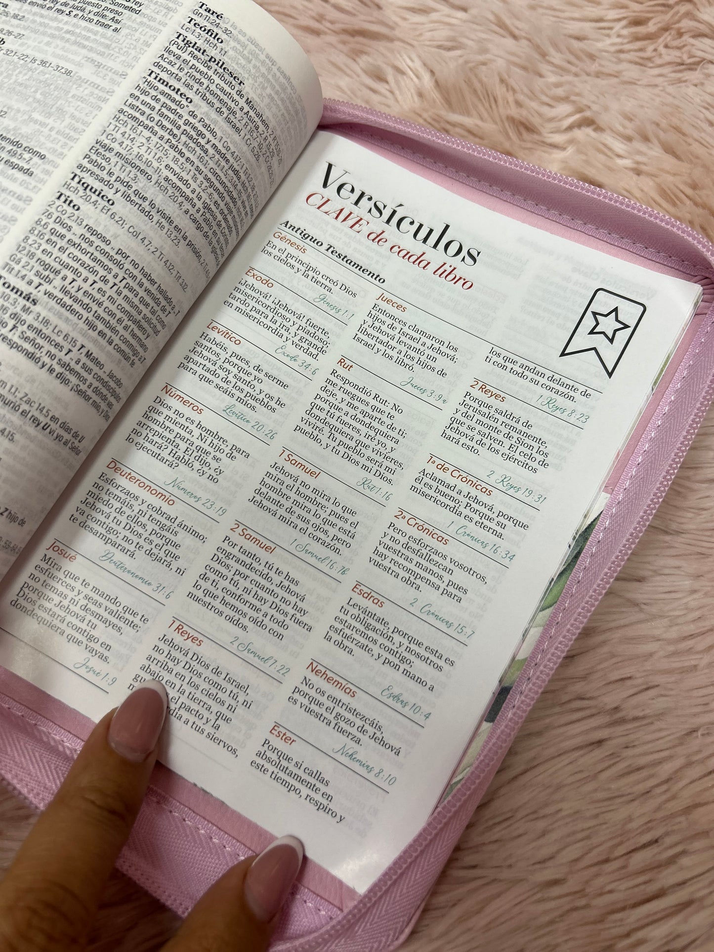 Biblia mediana de letras grandes 11 puntos con cierre e índice canto floreado versión RV1960 palabras de Jesús en rojo y concordancia