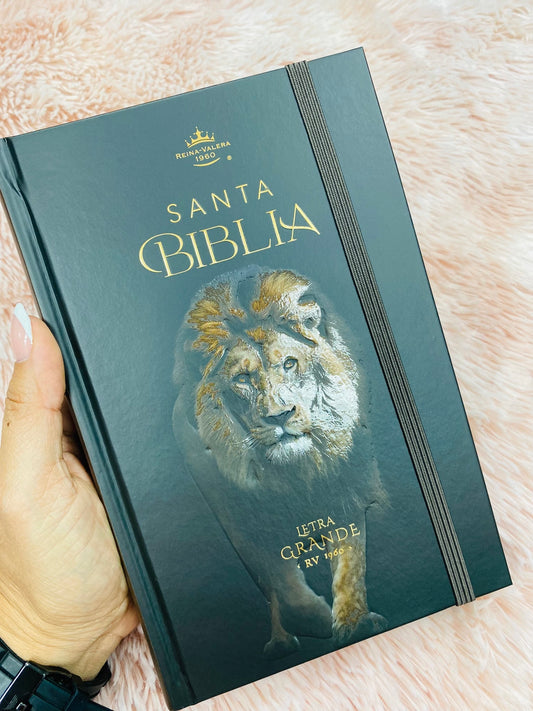 Biblia versión RV1960 de tapa dura diseño en relieve de letra grande 12 puntos con canto pintado, liga, palabras de Jesús en rojo con concordancia