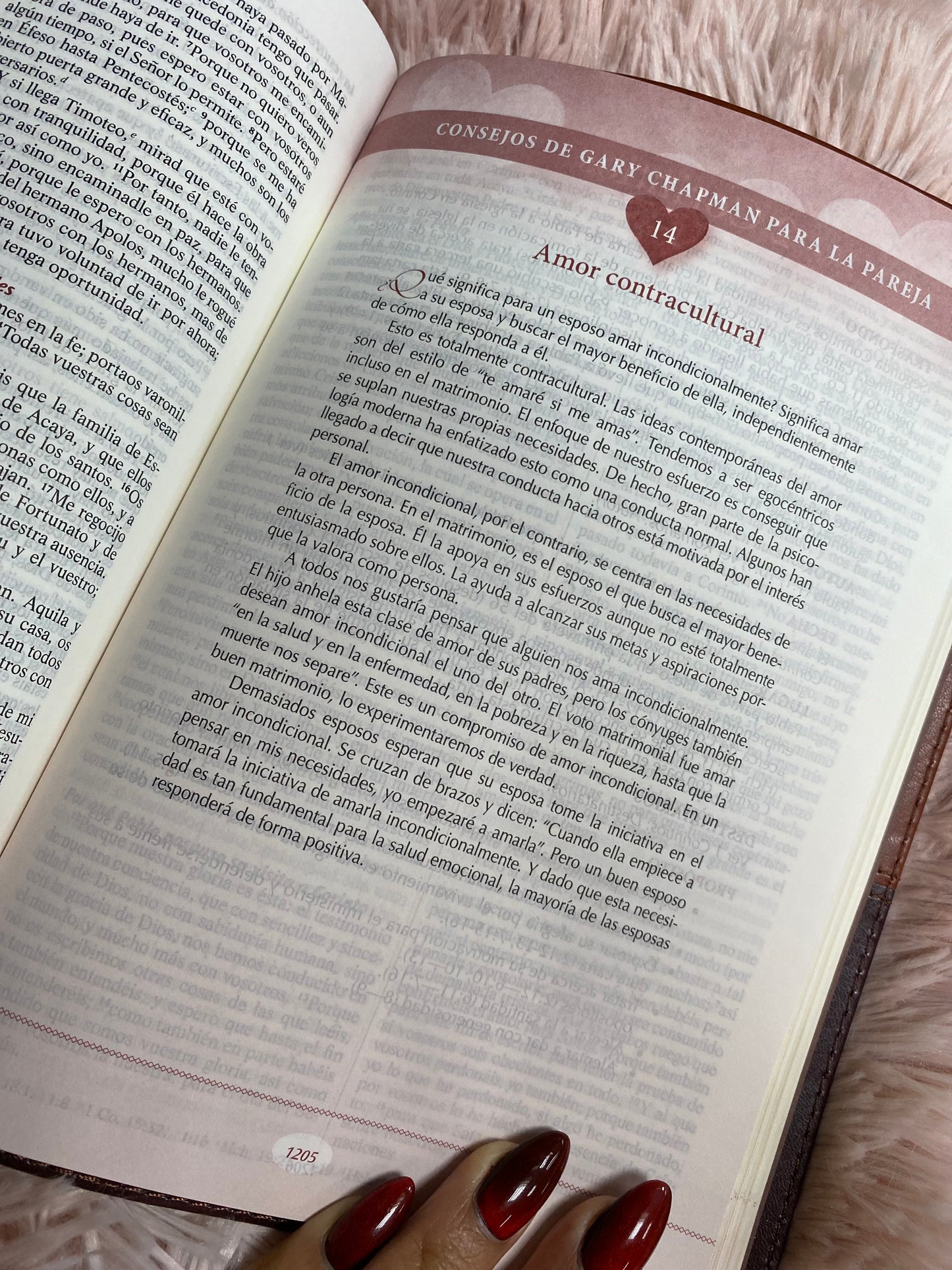 Biblia devocional los lenguajes del amor de Gary Chapman versión RV1960