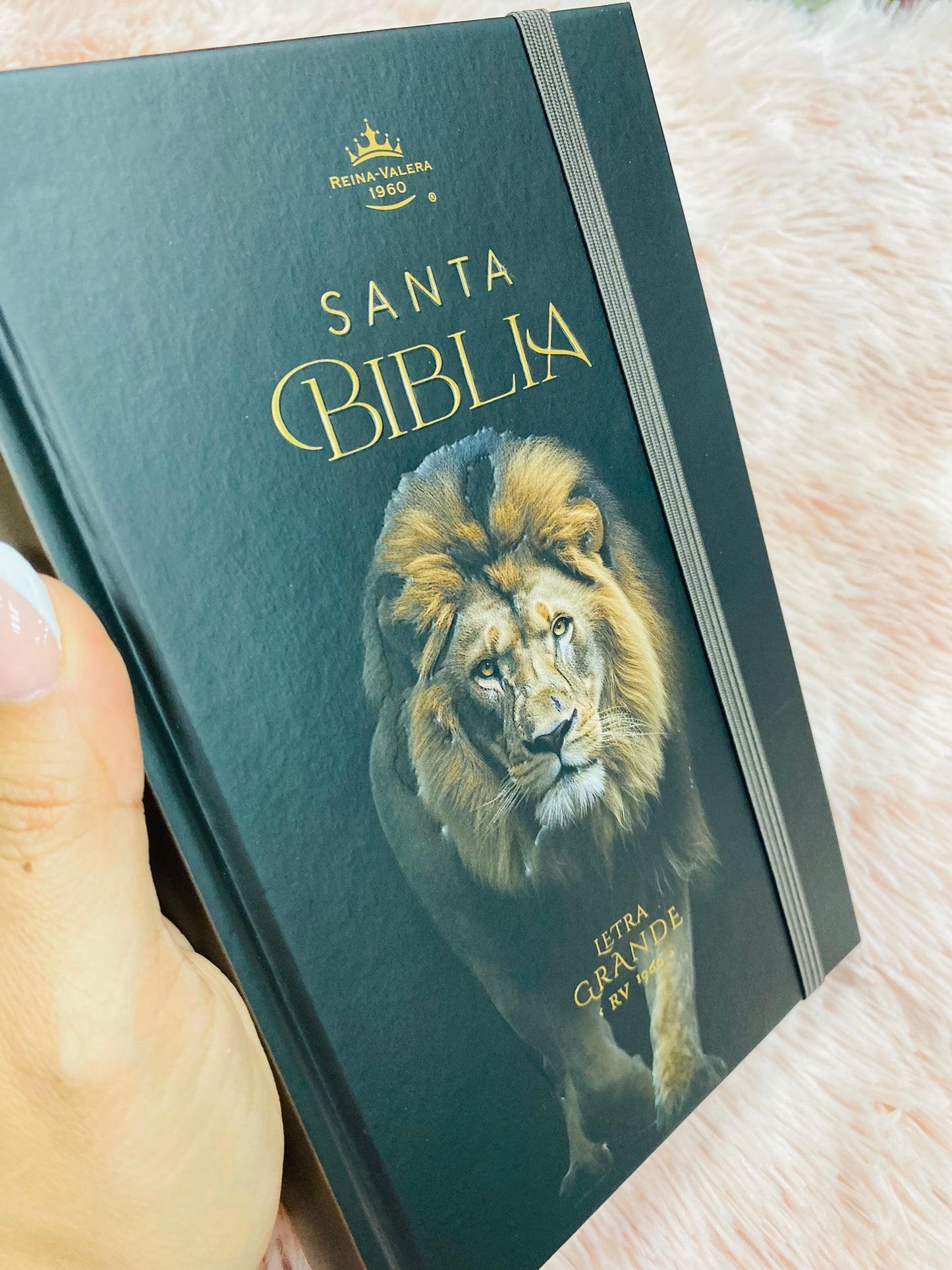 Biblia versión RV1960 de tapa dura diseño en relieve de letra grande 12 puntos con canto pintado, liga, palabras de Jesús en rojo con concordancia